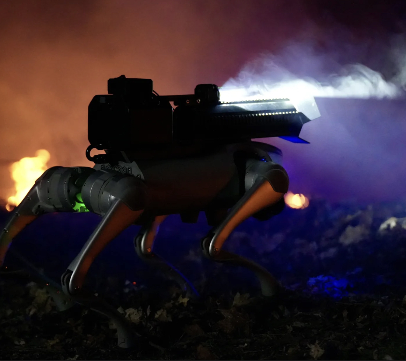 robotic dog with light