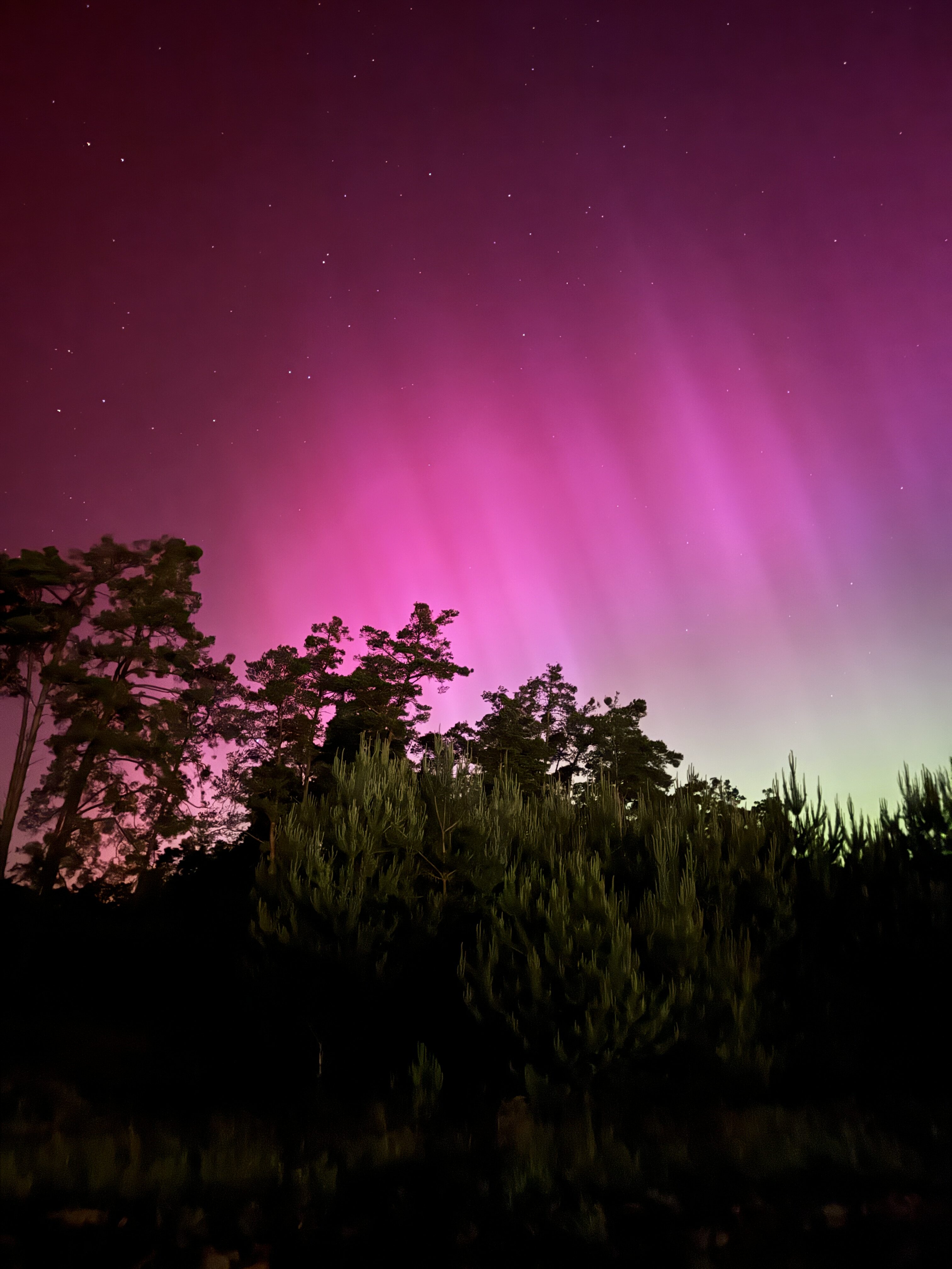 aurora borealis view