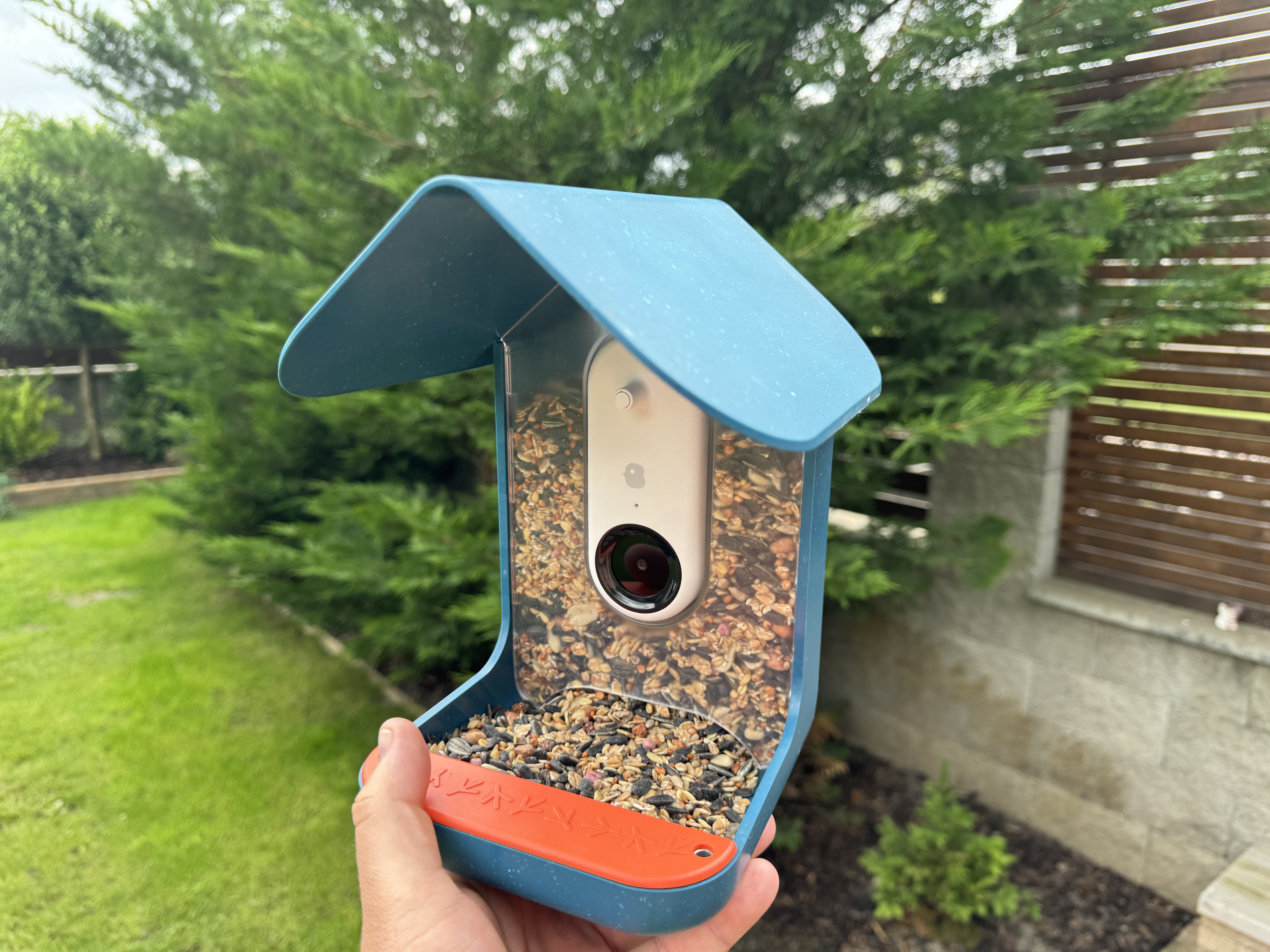 birdhouse camera with seeds