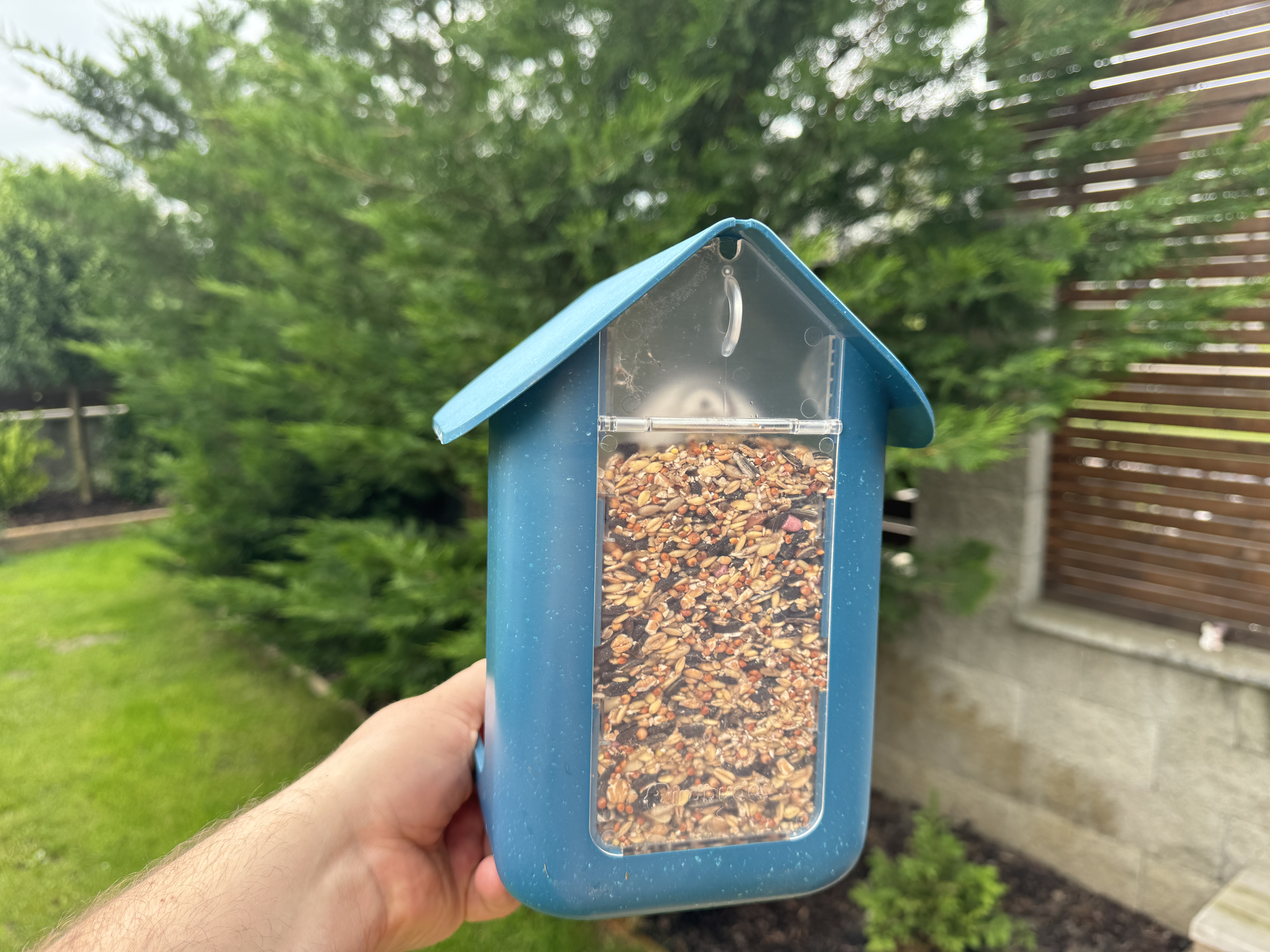 birdhouse filled with seeds