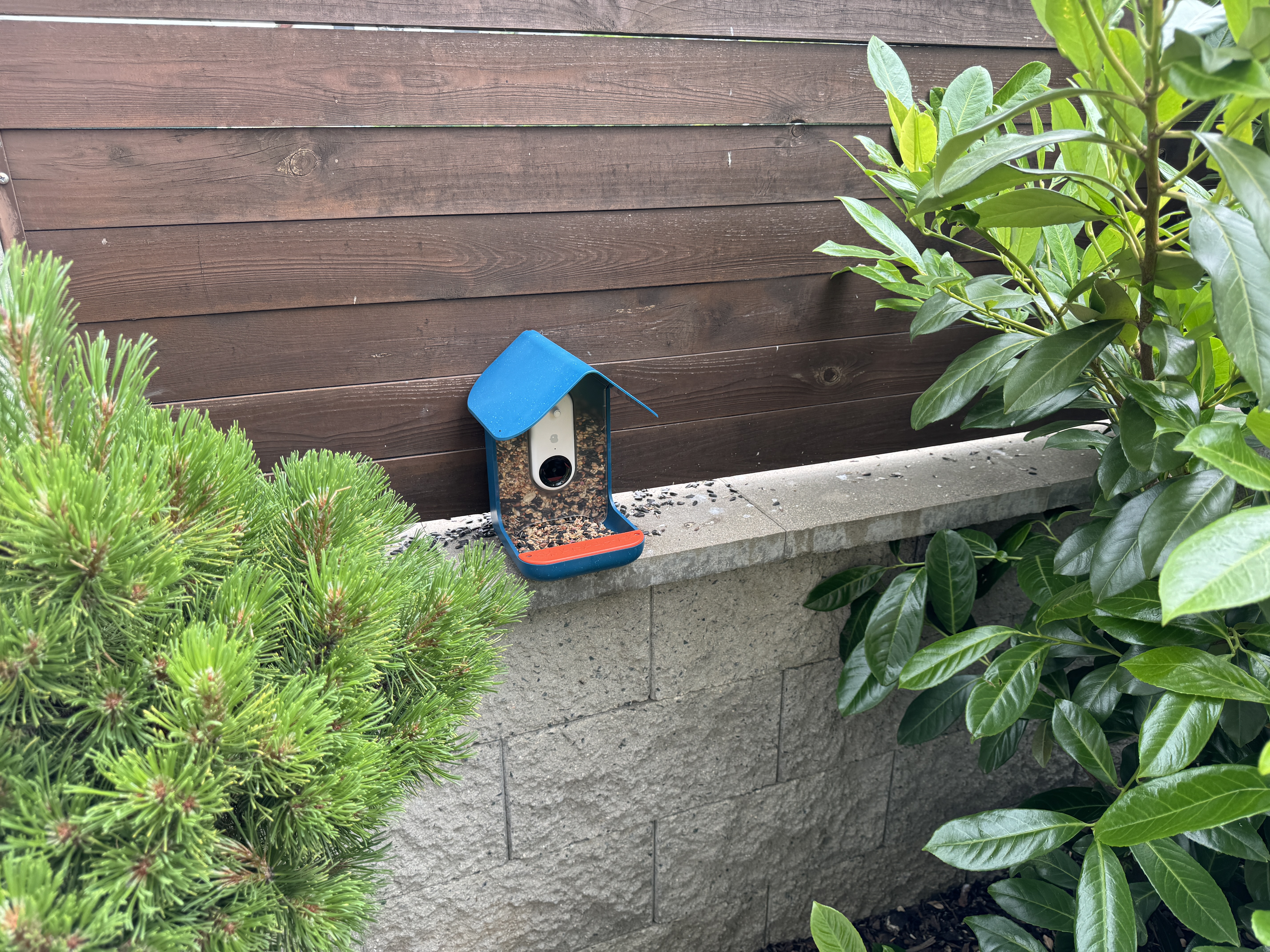 birdhouse on wall with plants