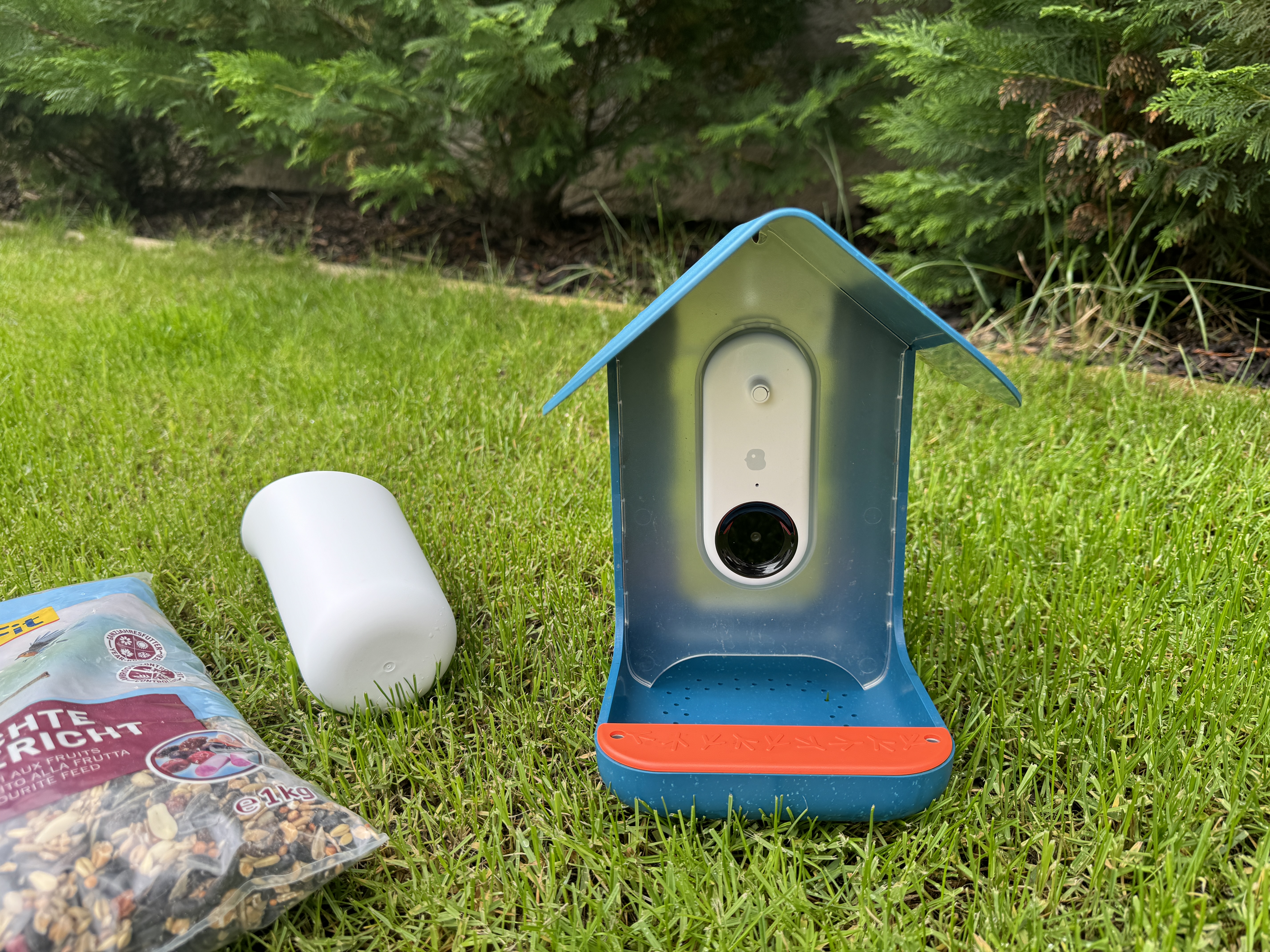 close up bird feeder