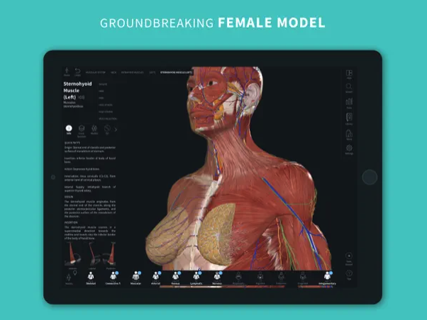 groundbreaking female model on tablet