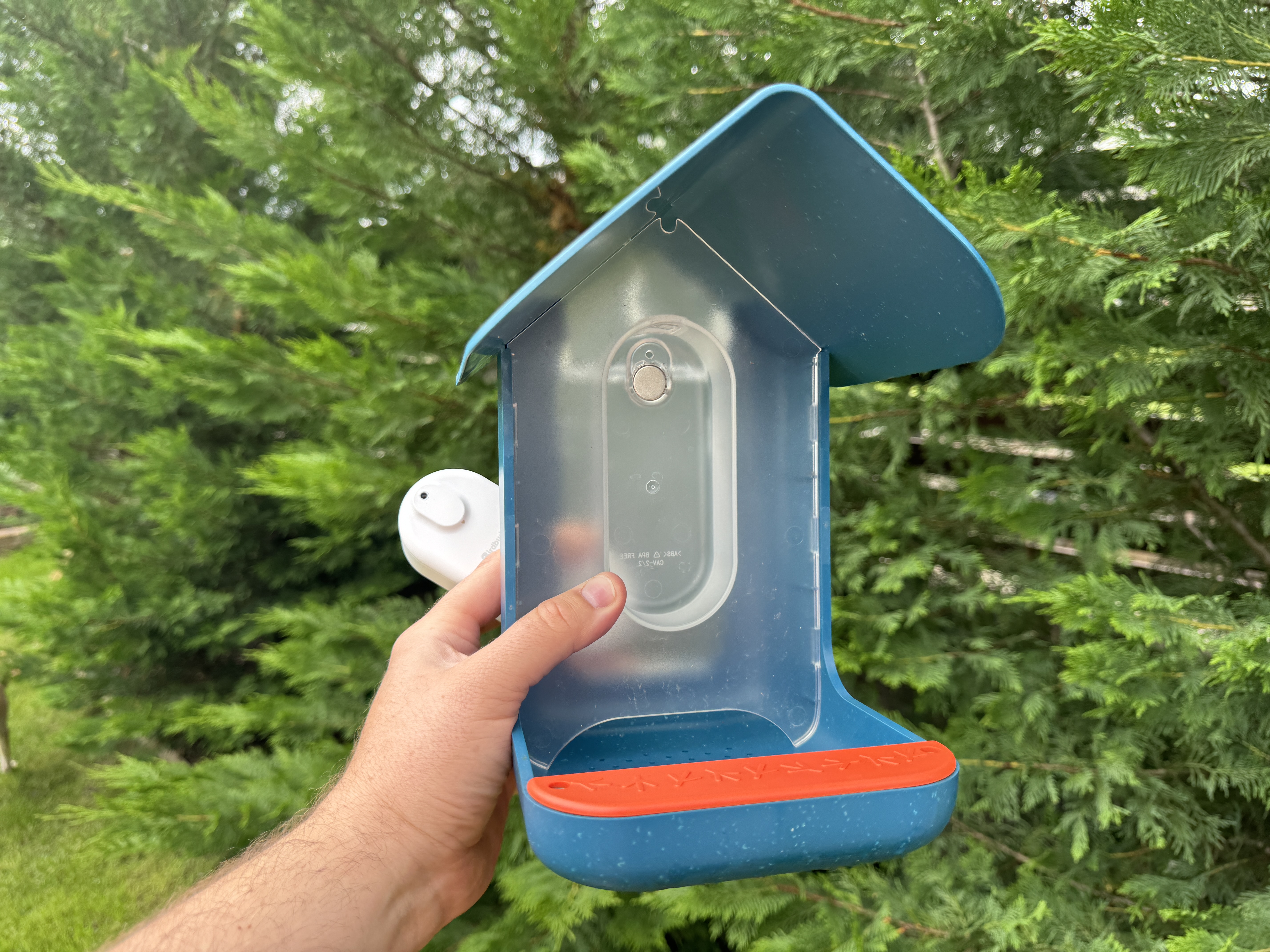 hand holding bird feeder
