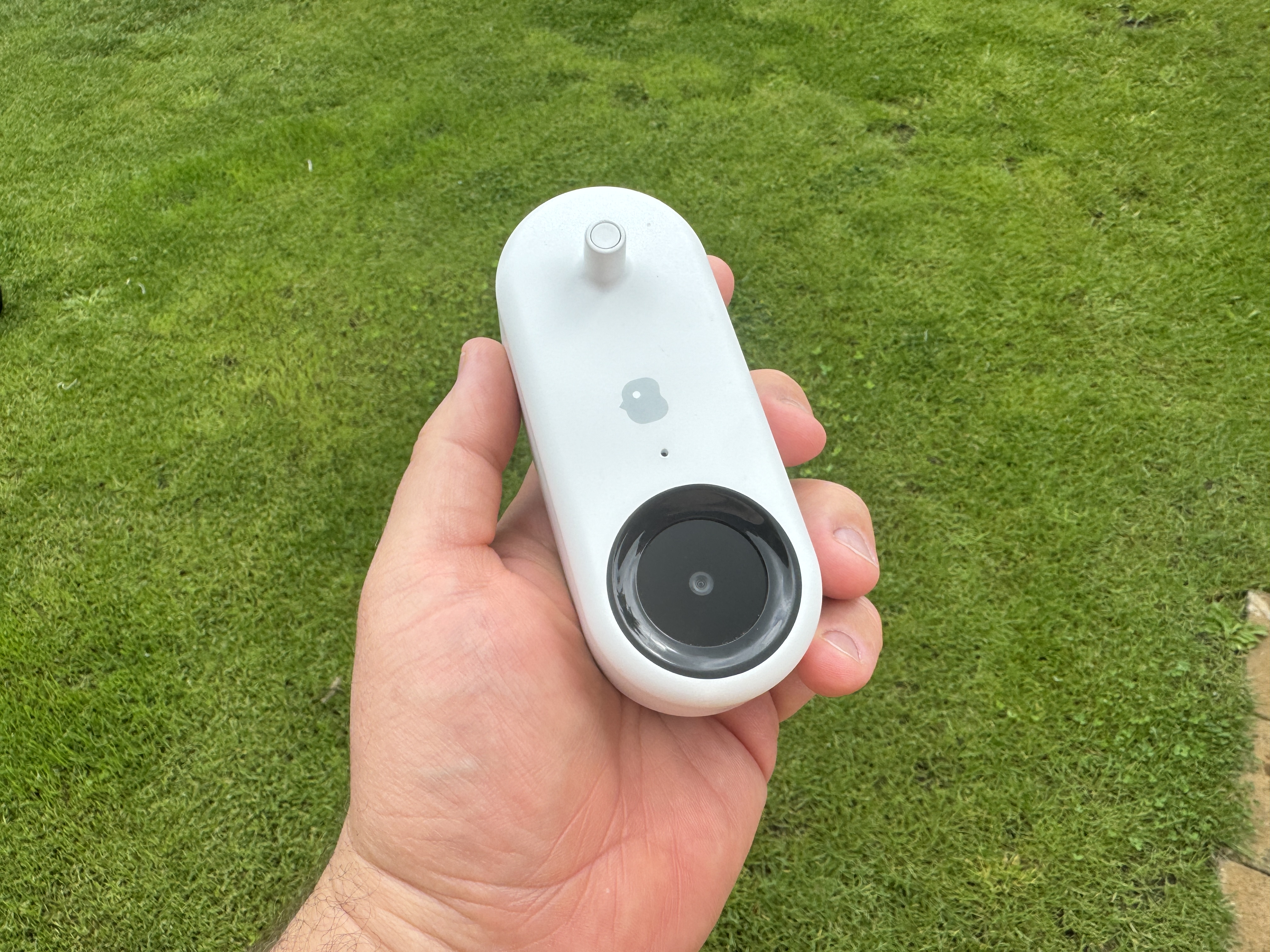 hand holding white device on grass