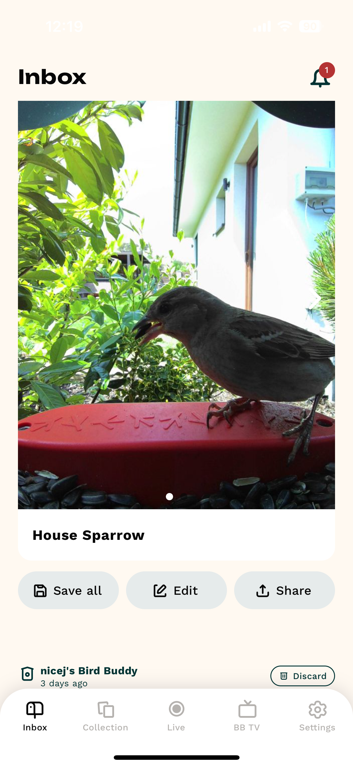 house sparrow profile