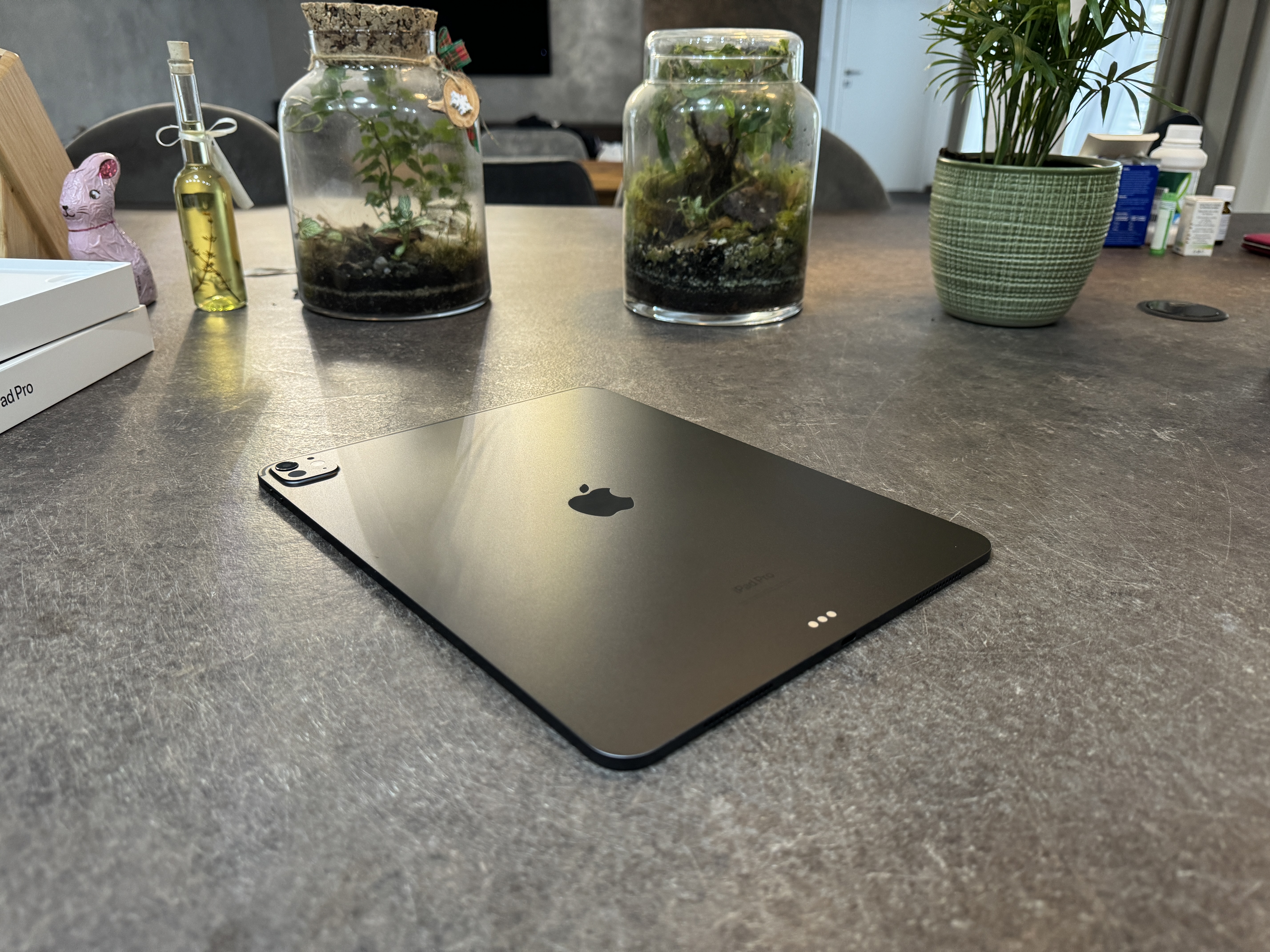 ipad pro back view