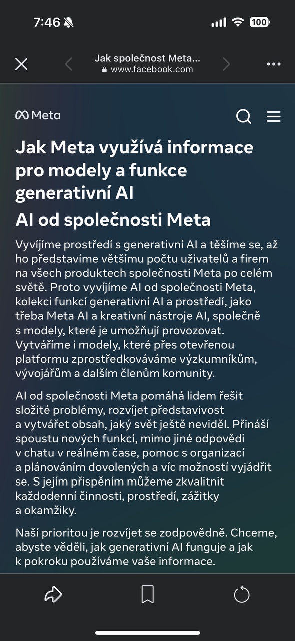 meta ai information use
