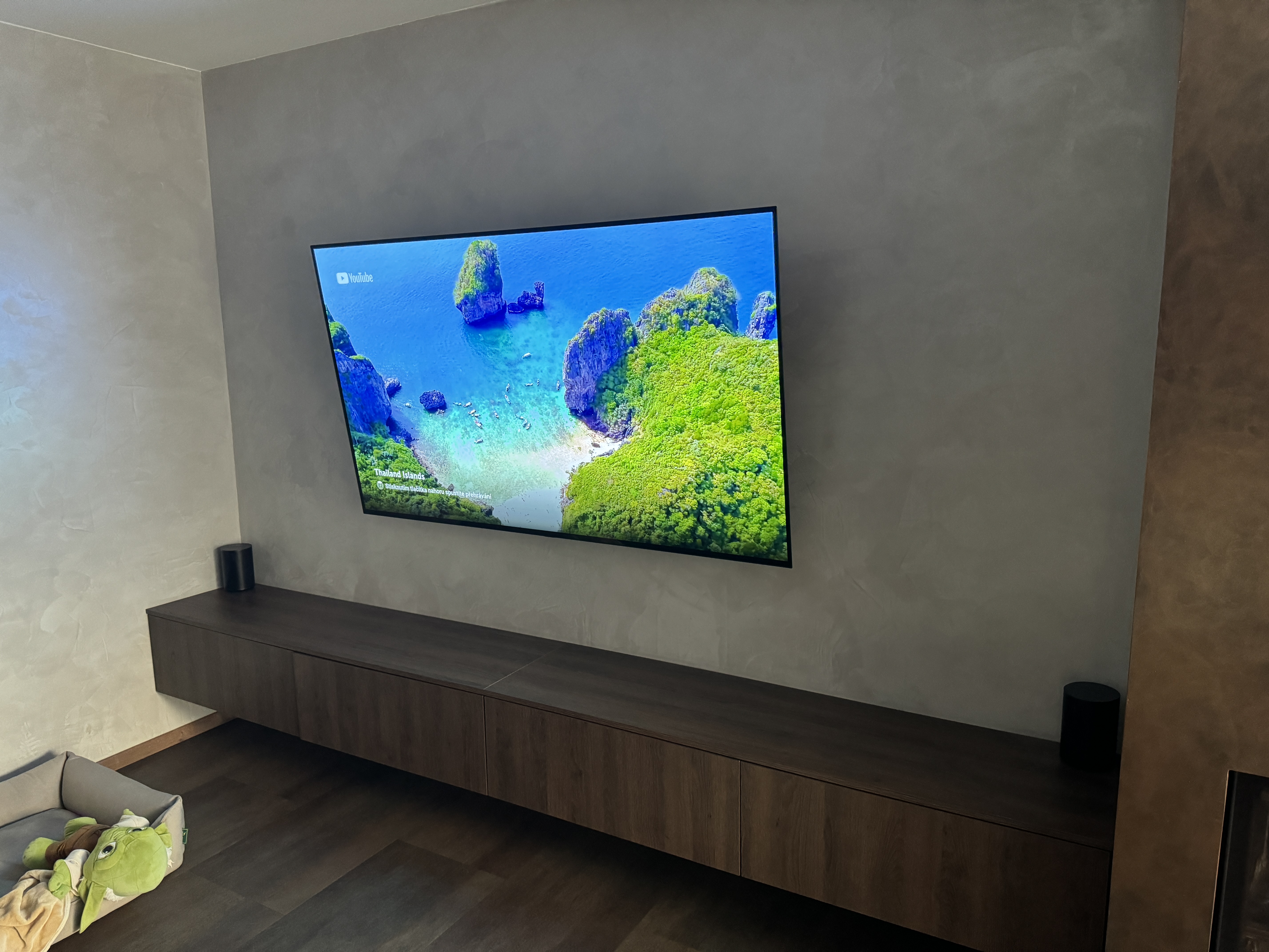 modern tv wall tropical view
