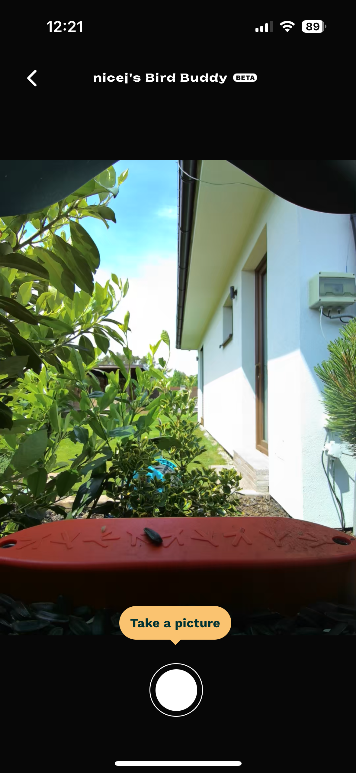 view from bird feeder