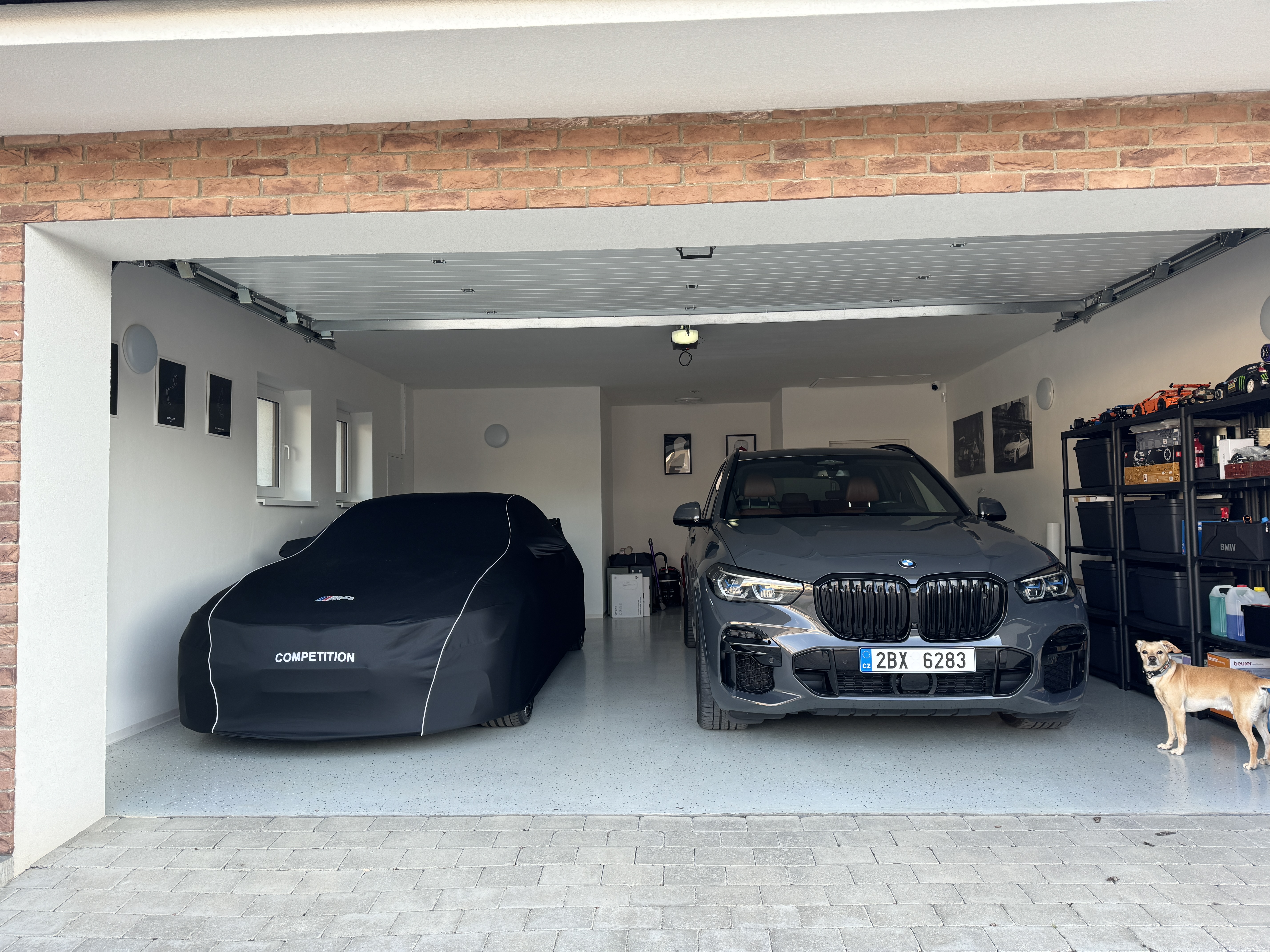 garage with cars and dog