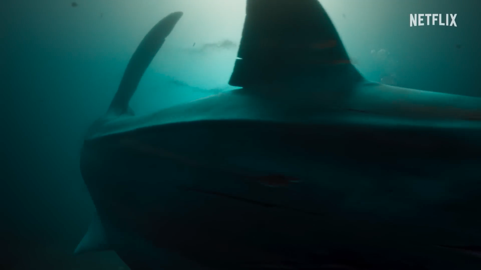 netflix shark underwater scene