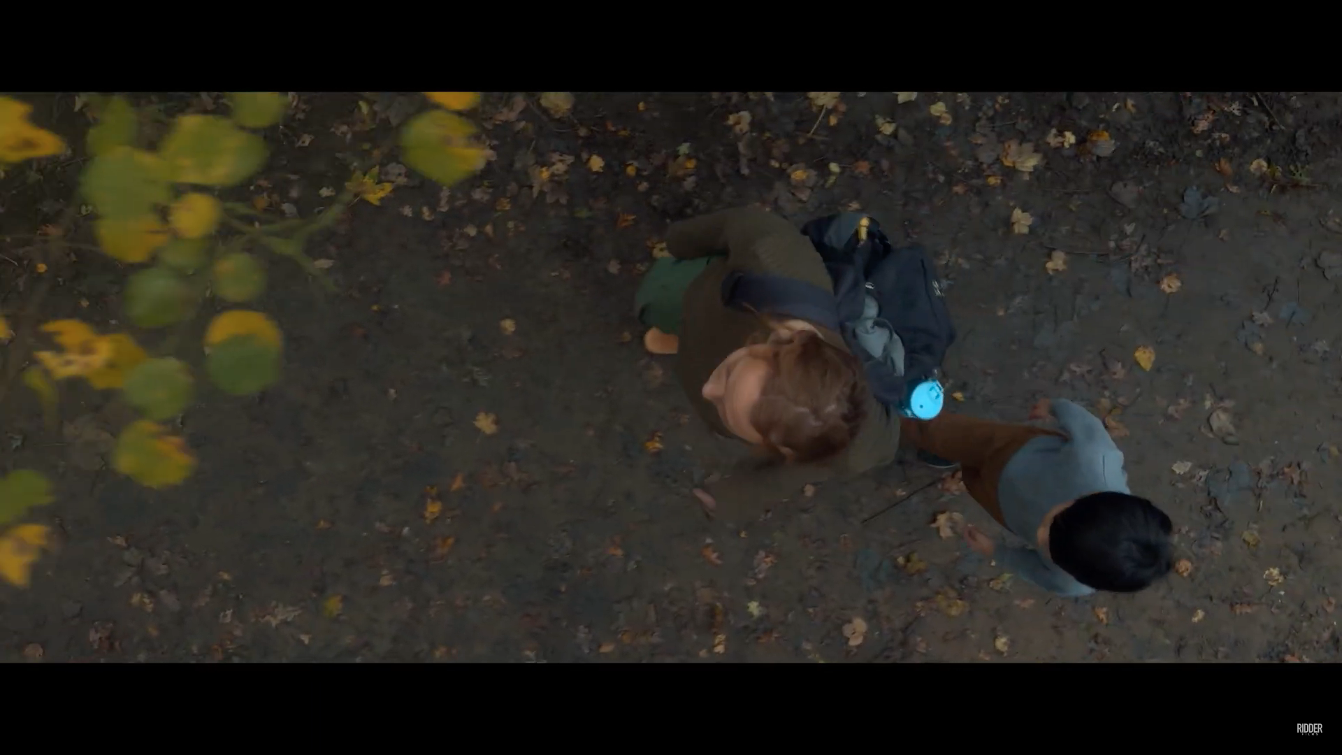overhead view of people walking in forest