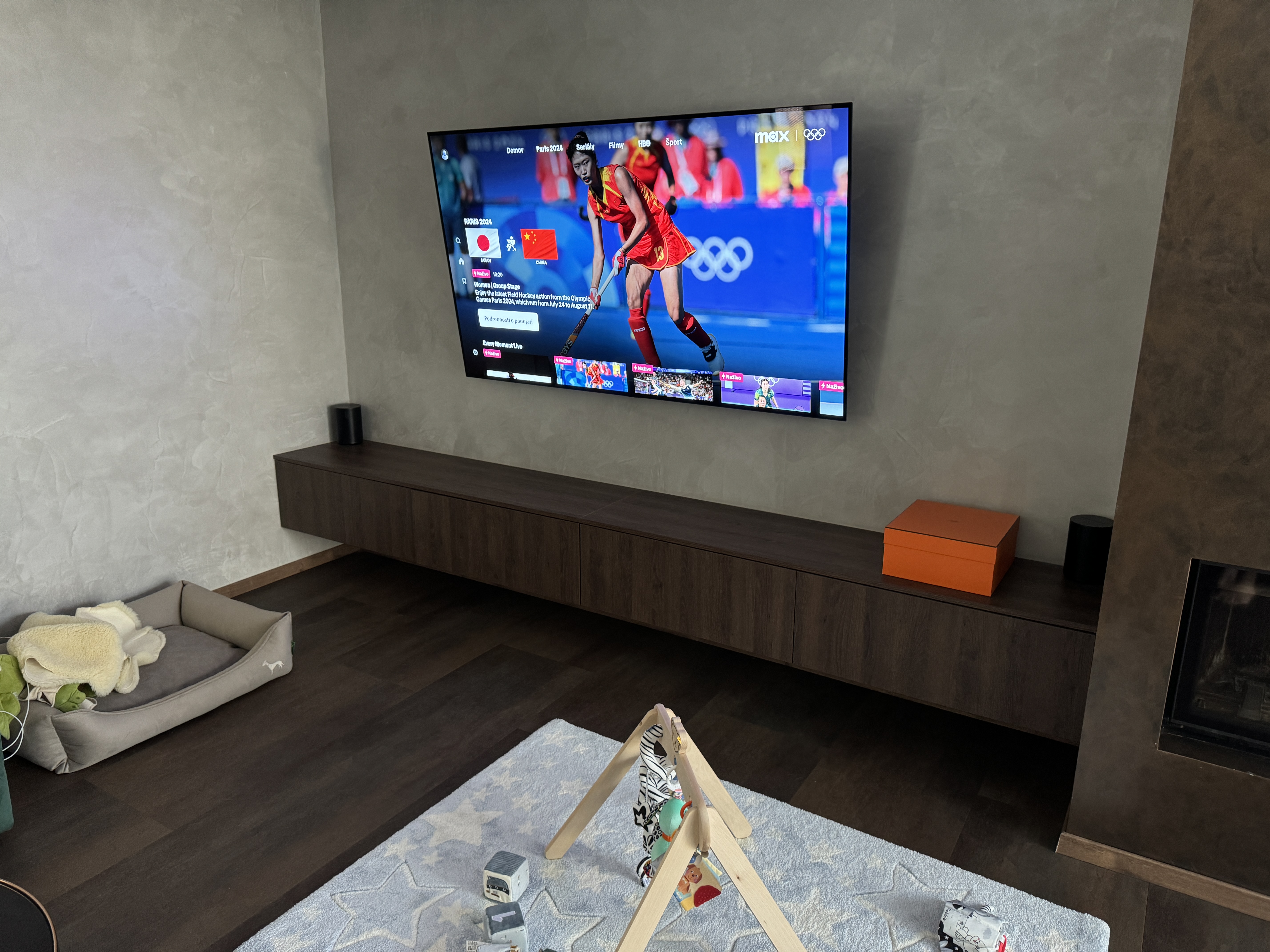 modern living room with tv show