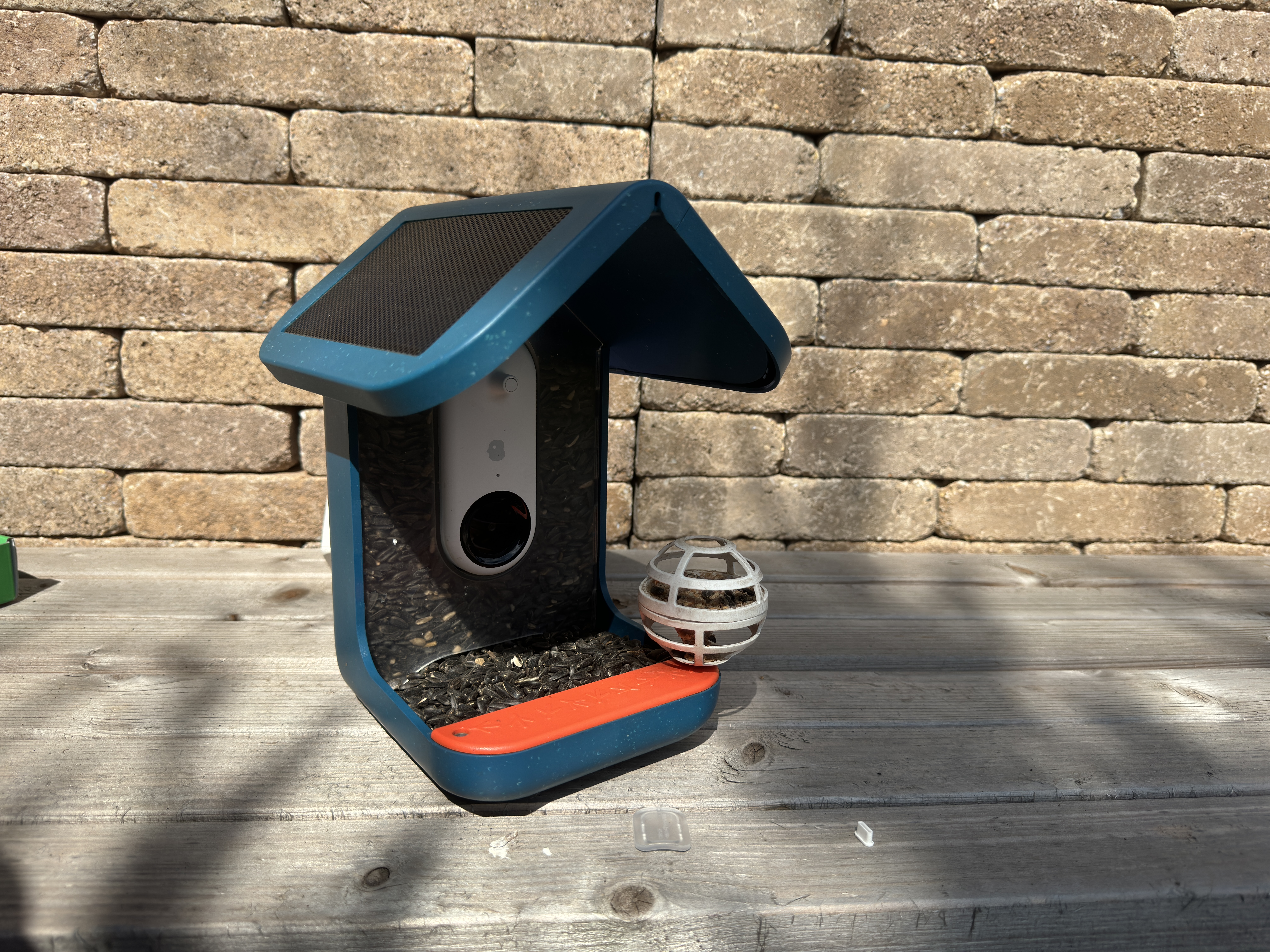 fågelmatare i trädgården