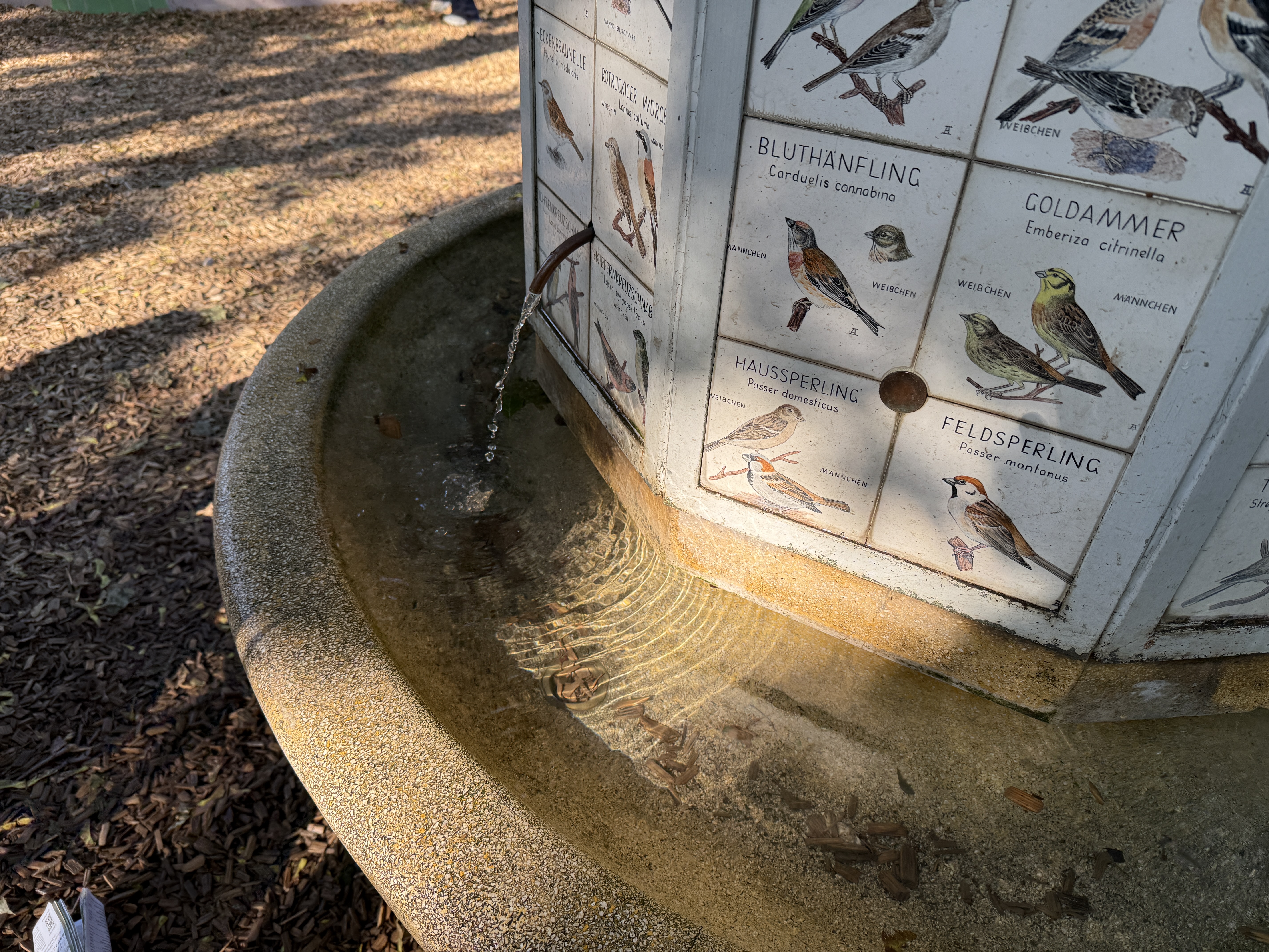 bird fountain with illustrations