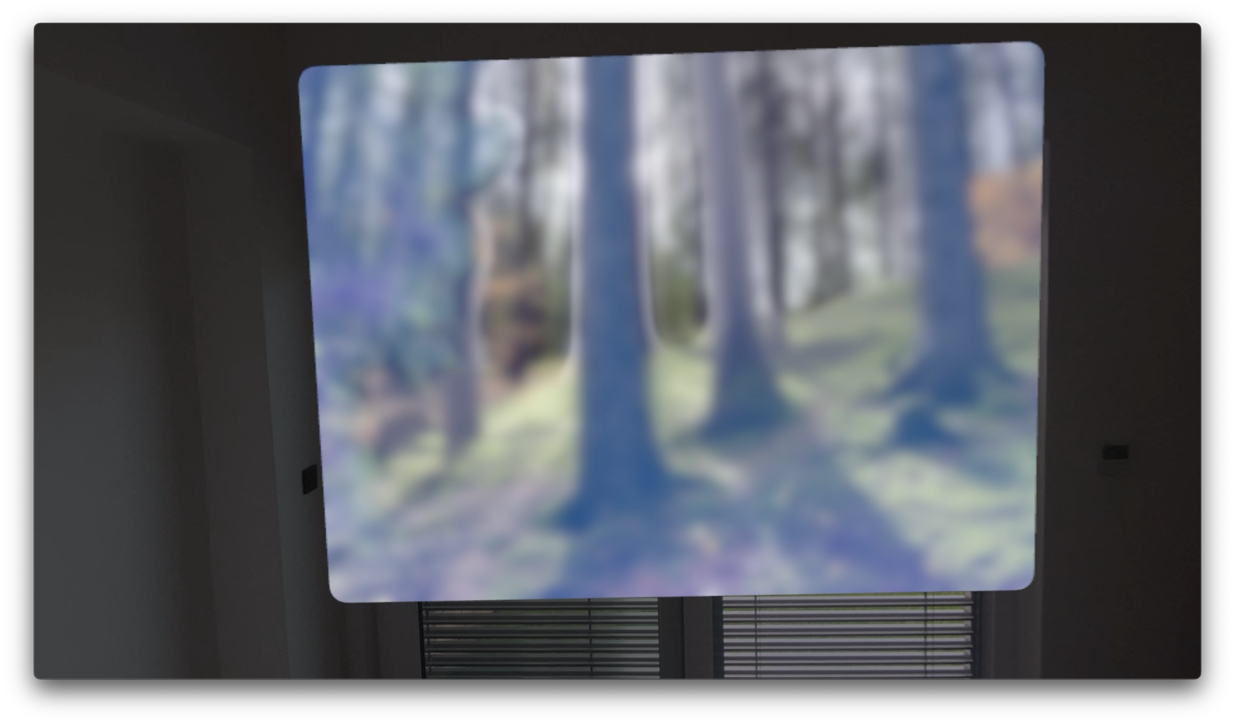 blurred forest view
