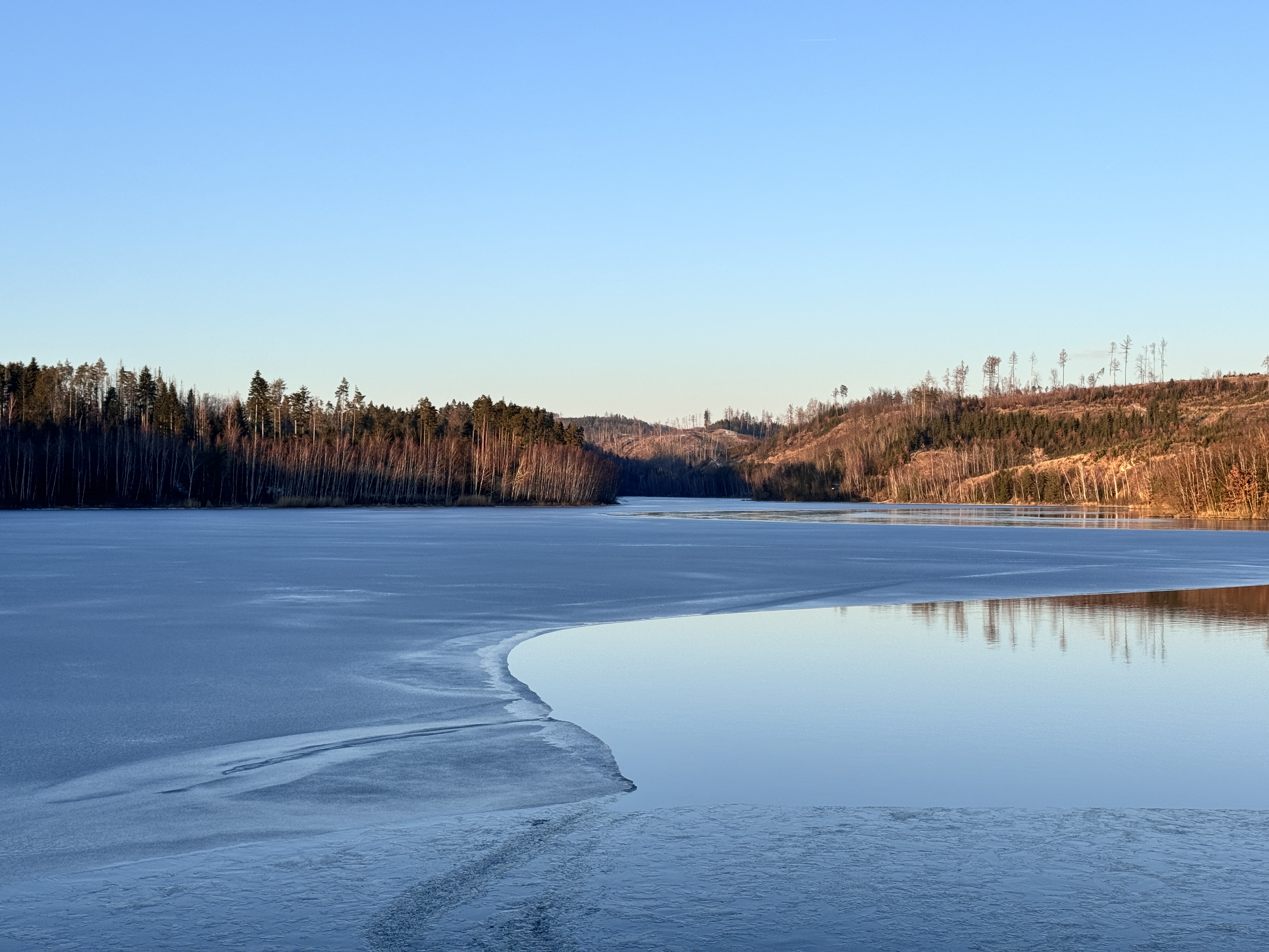 frozen lake with forest view