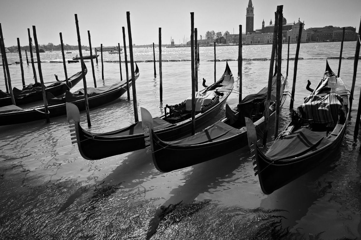 gondolas in venice