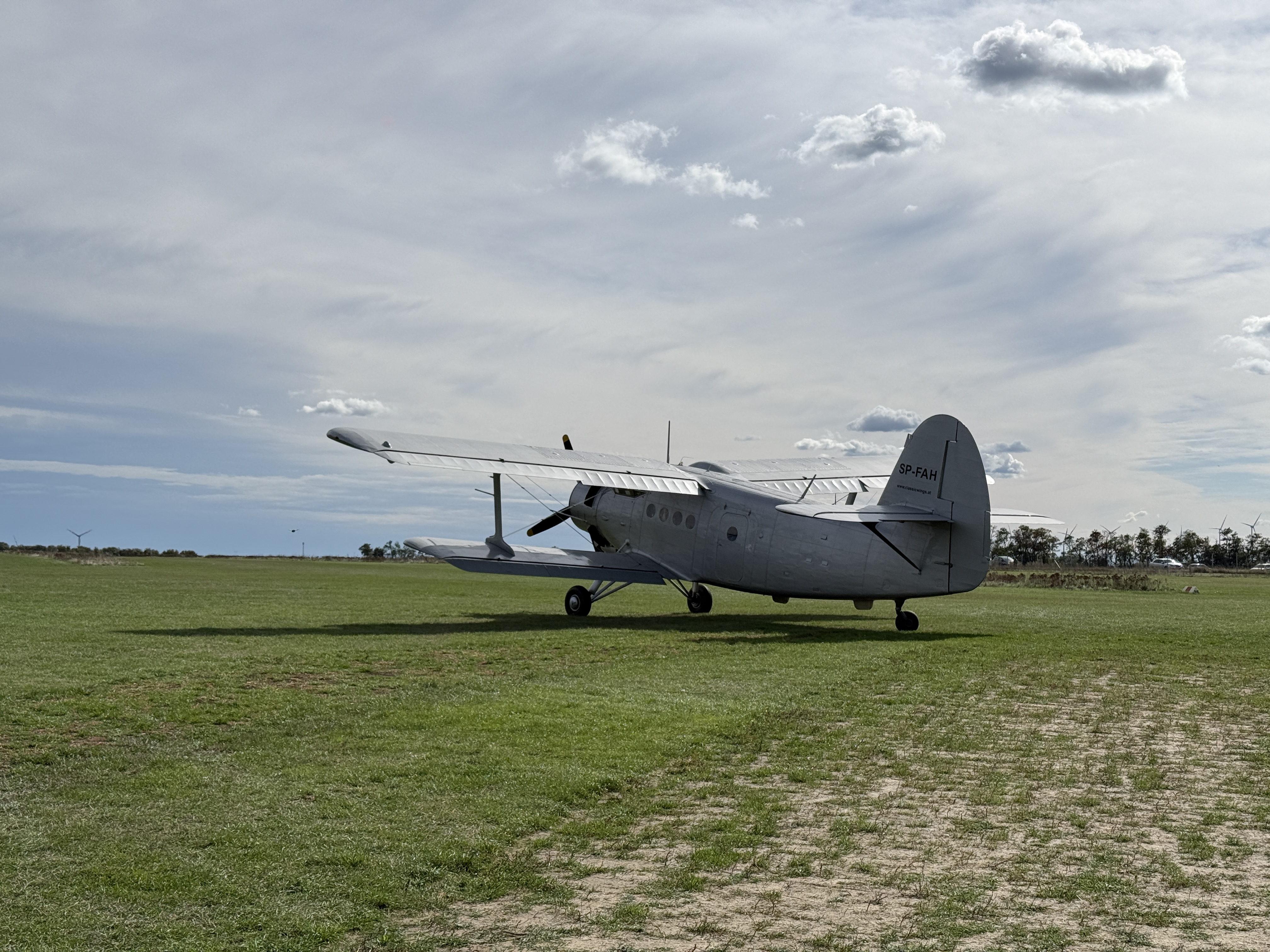 gray airplane on field