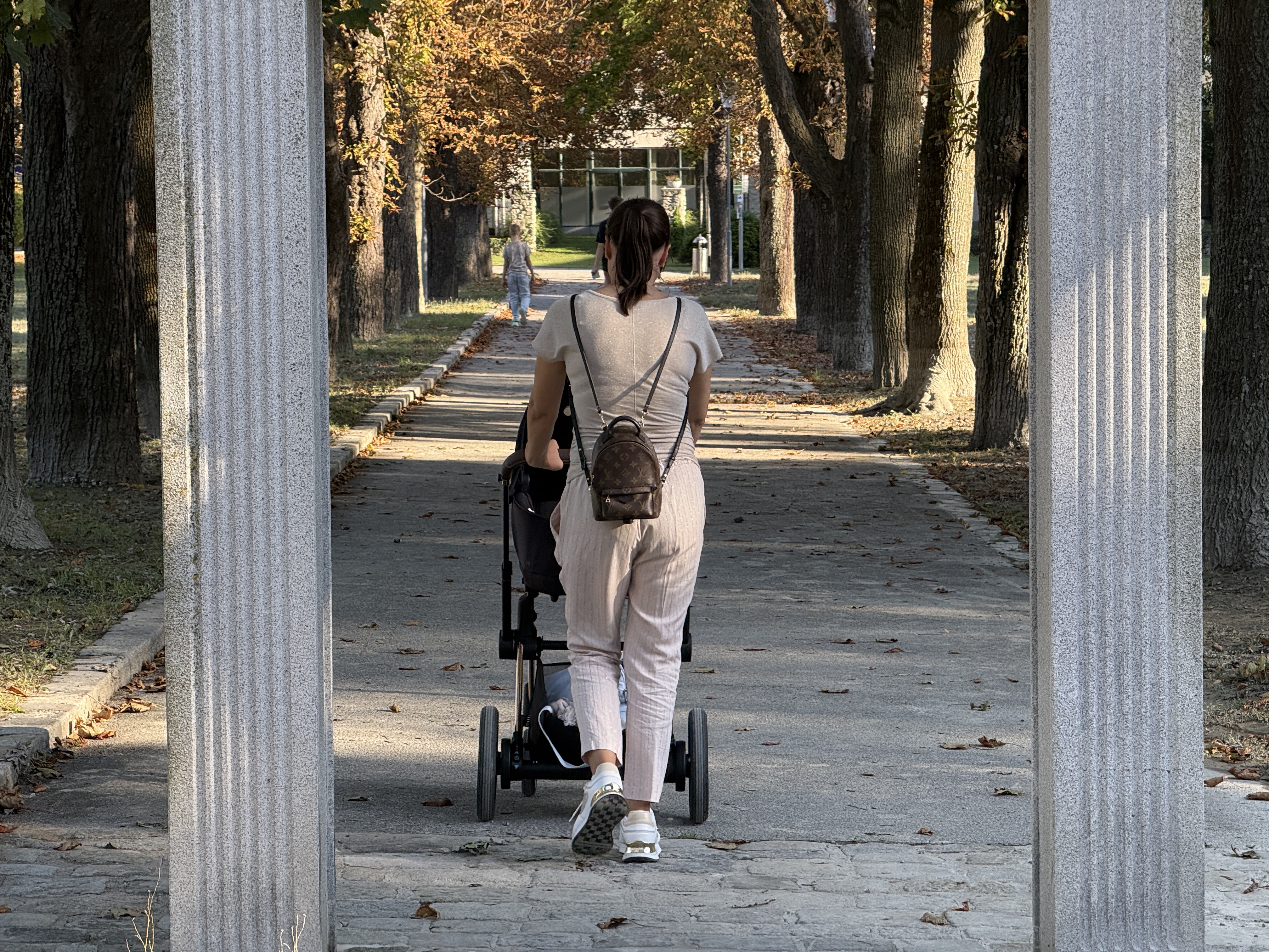 person pushing stroller park