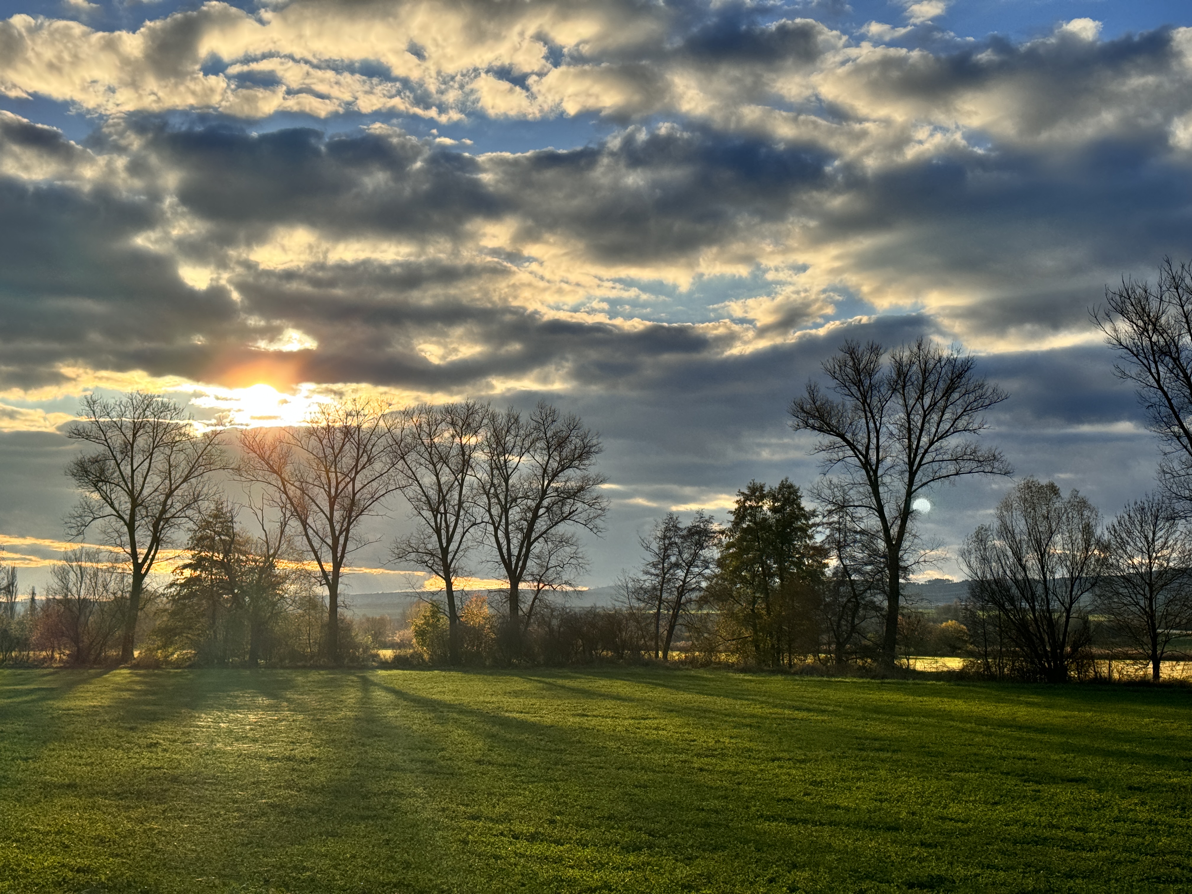 sunset over field with trees