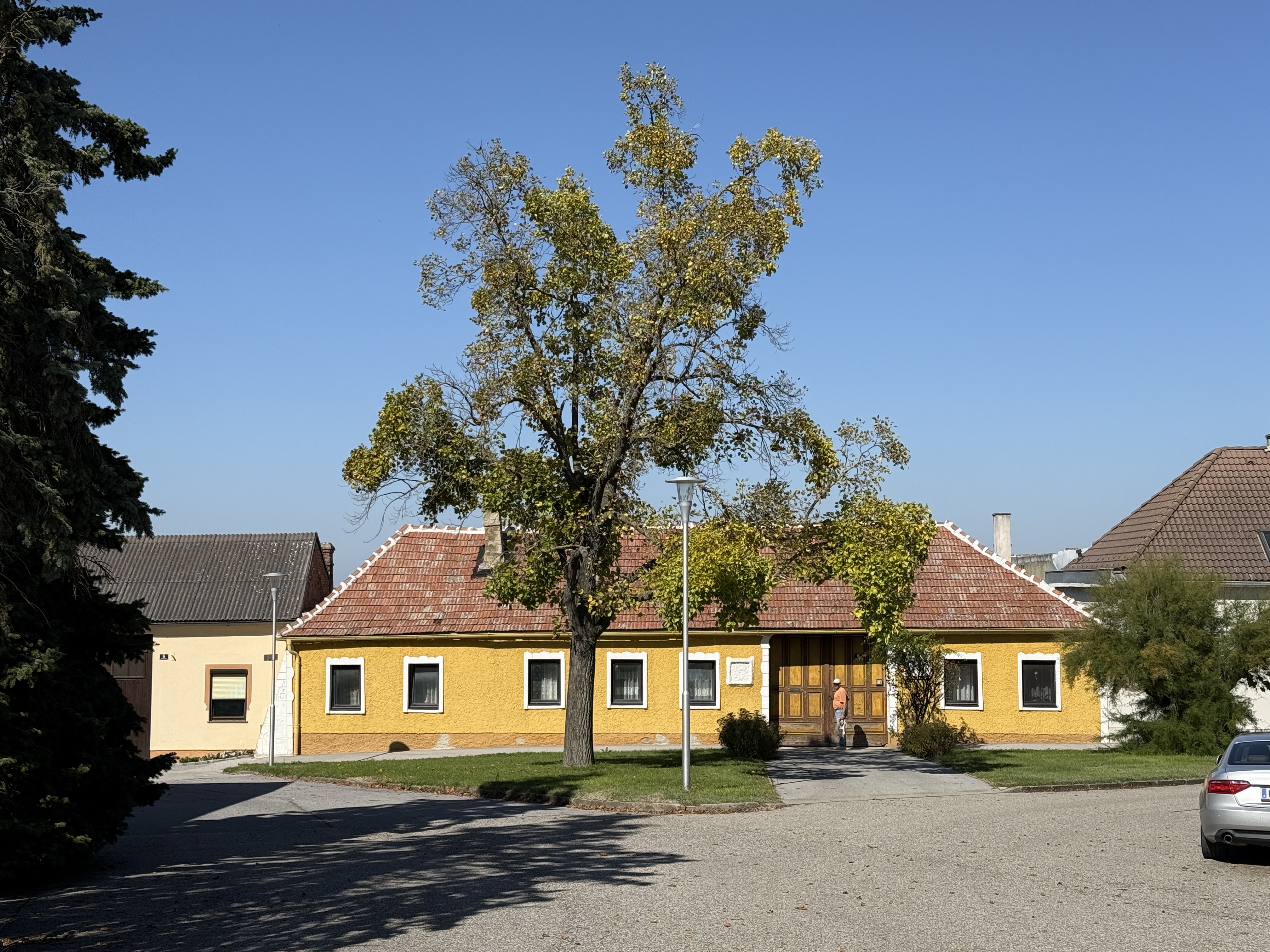 traditional yellow house with tree