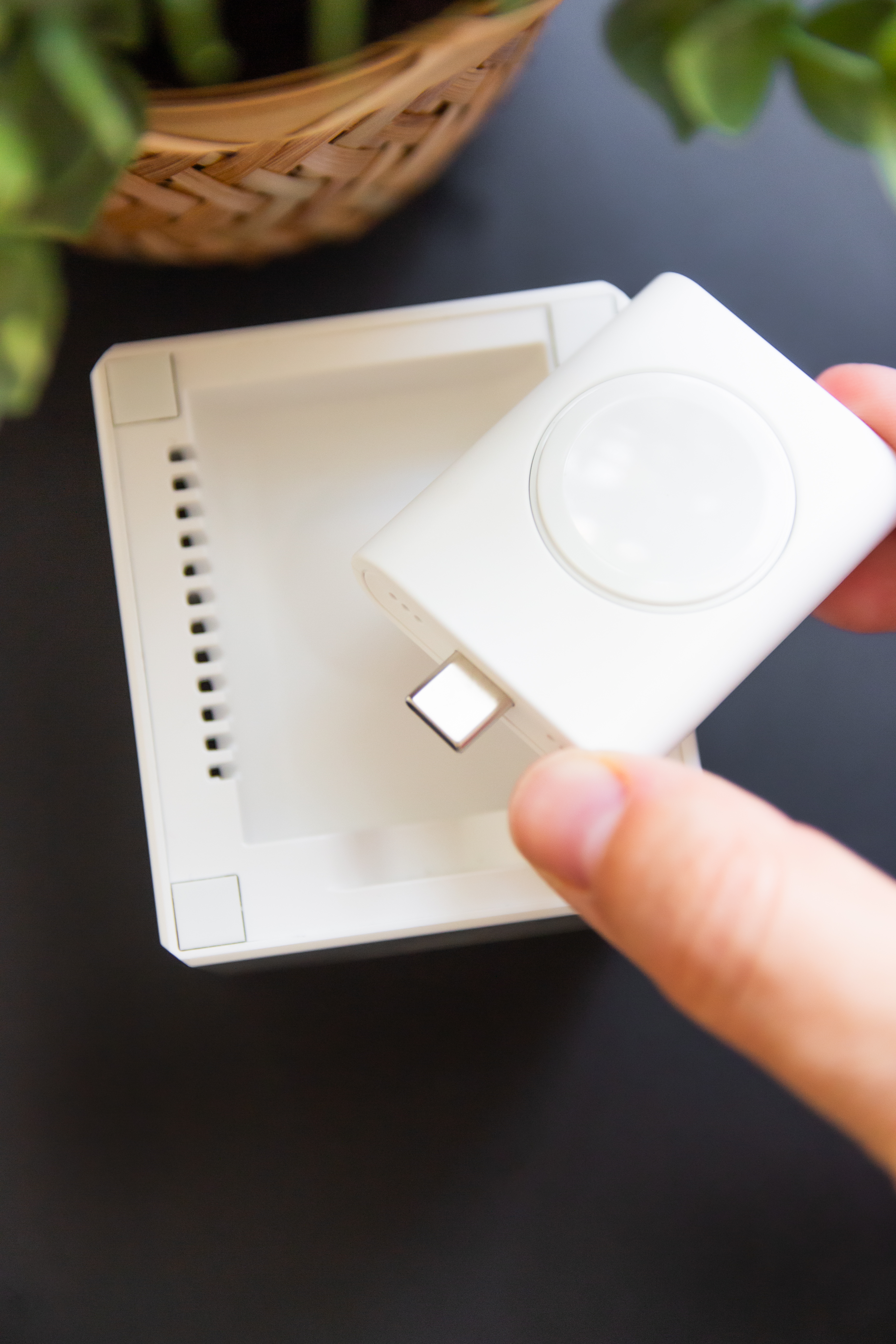 usb c charger with plants