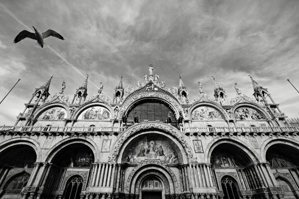 venice cathedral with bird