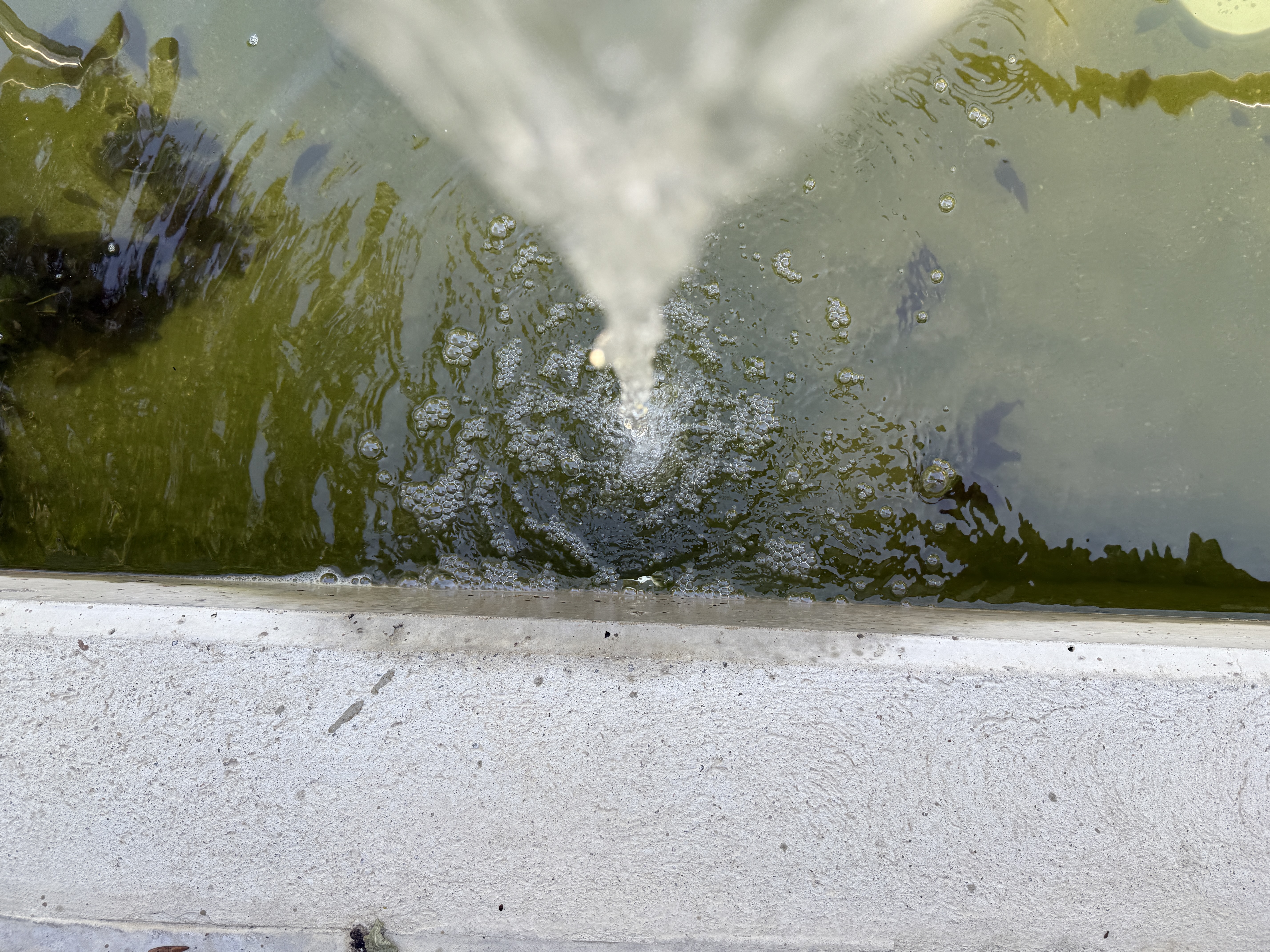 water splash closeup