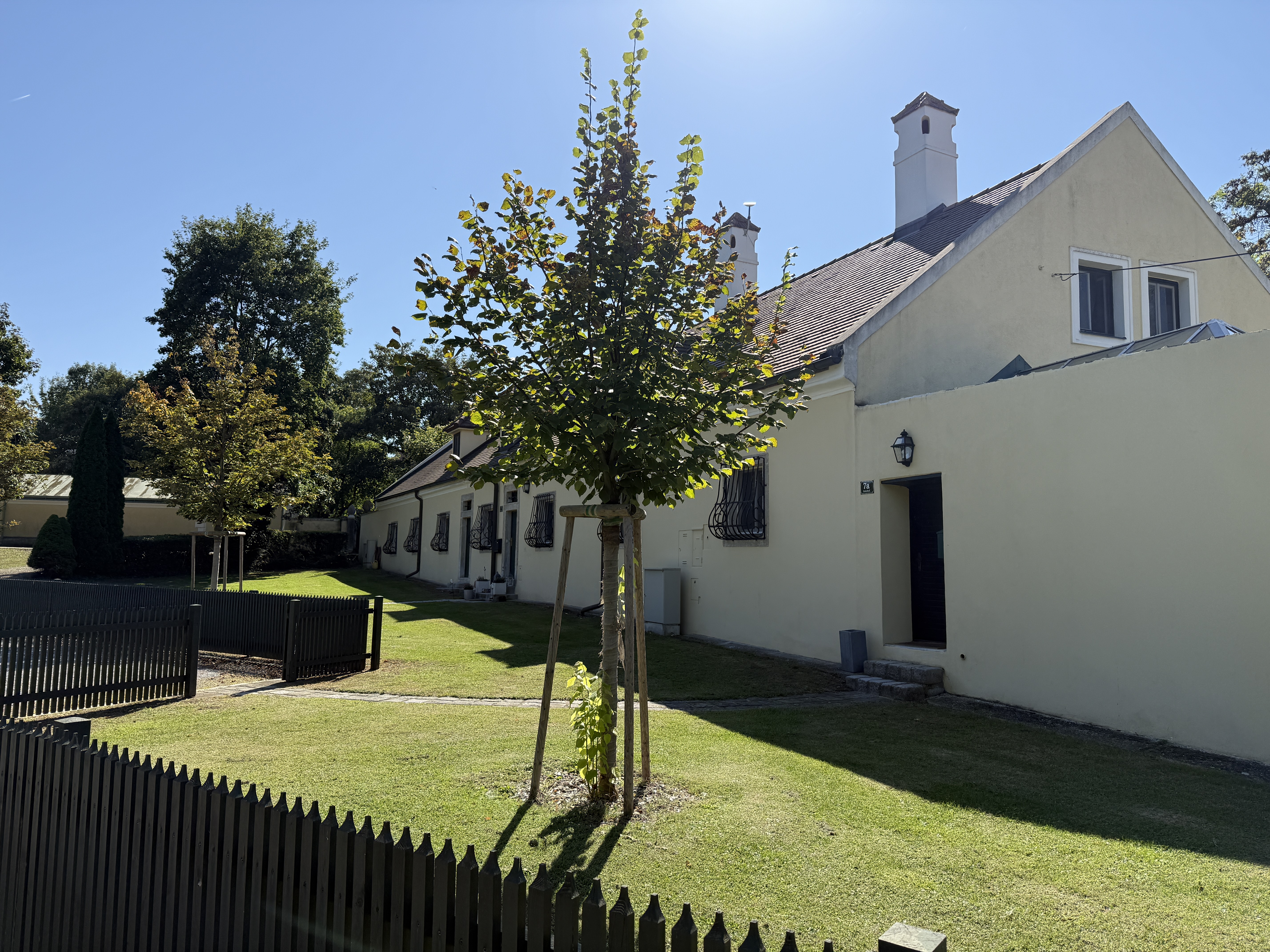 white house with garden