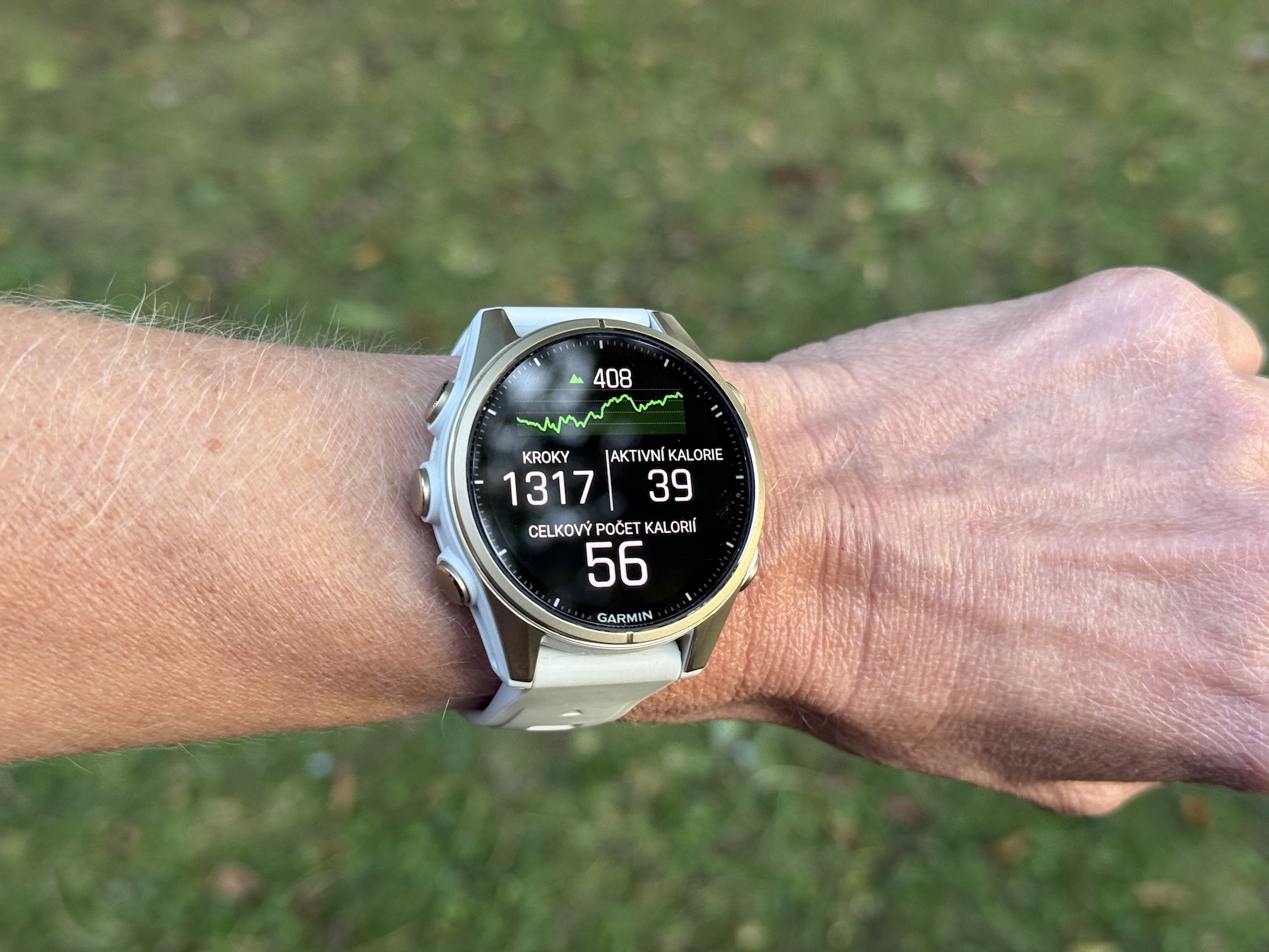 Garmin Fenix 8 43 63 Garmin Fenix 8 43 63