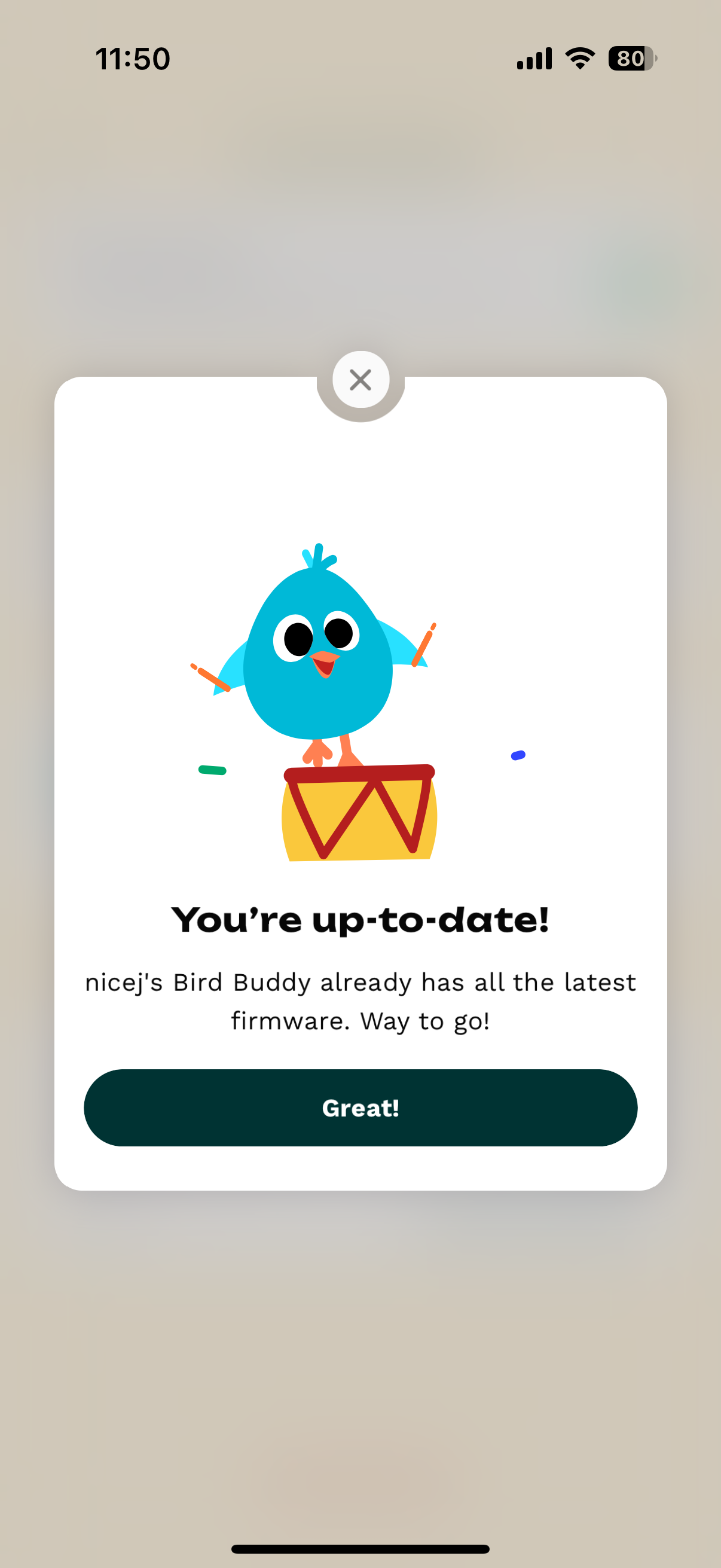 bird buddy firmware update
