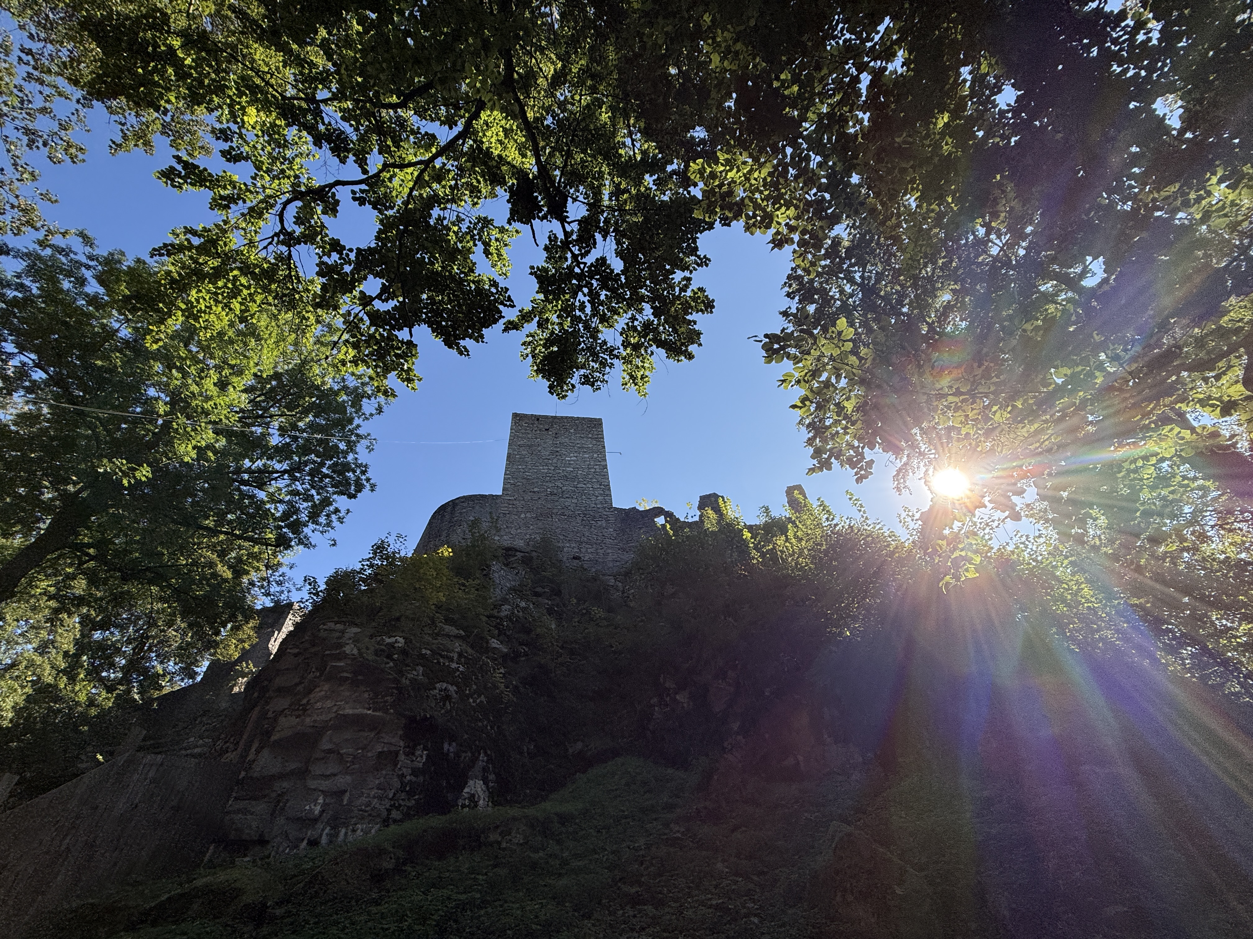castle ruins sunlight trees