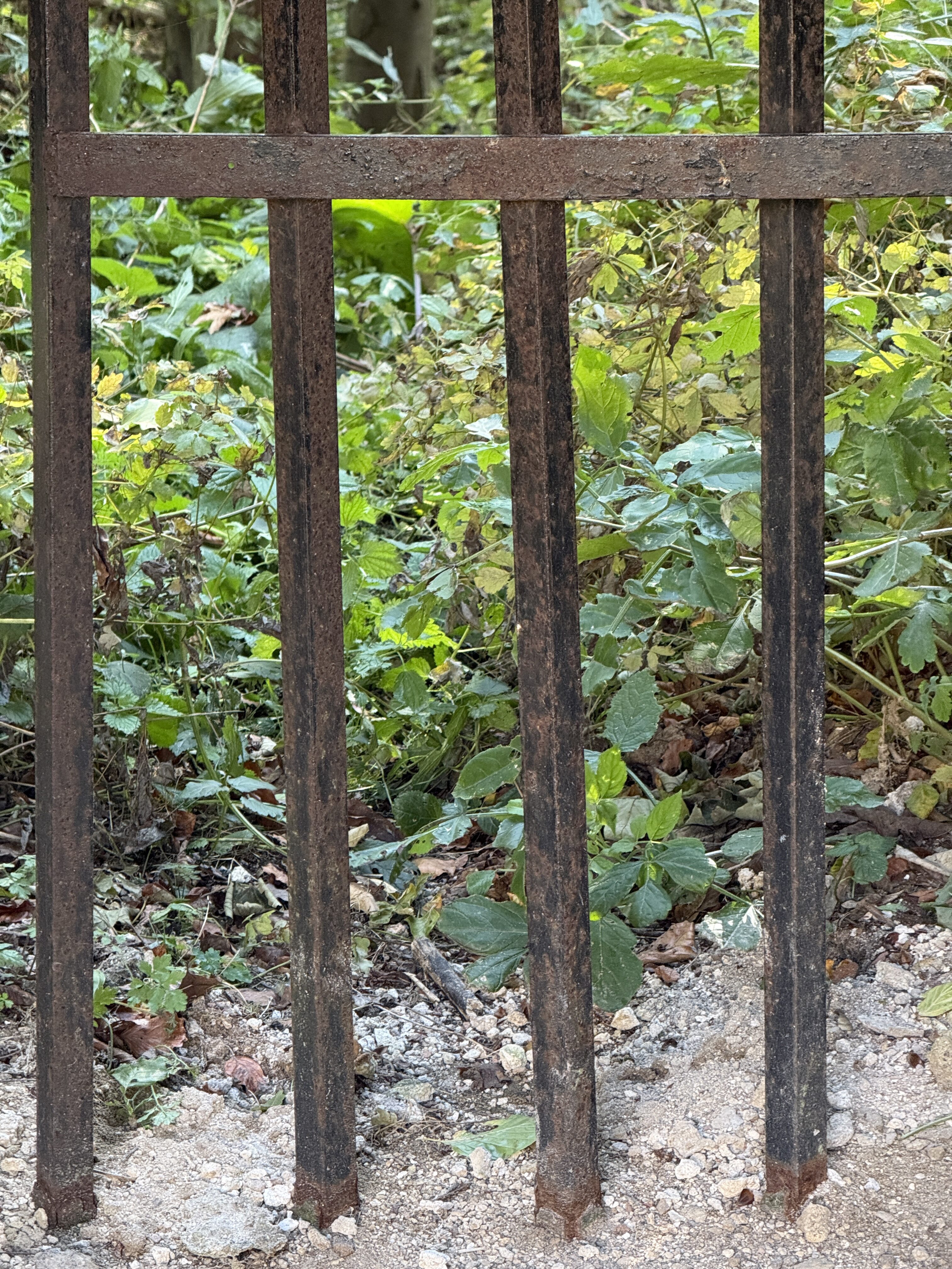 closeup rusty metal bars