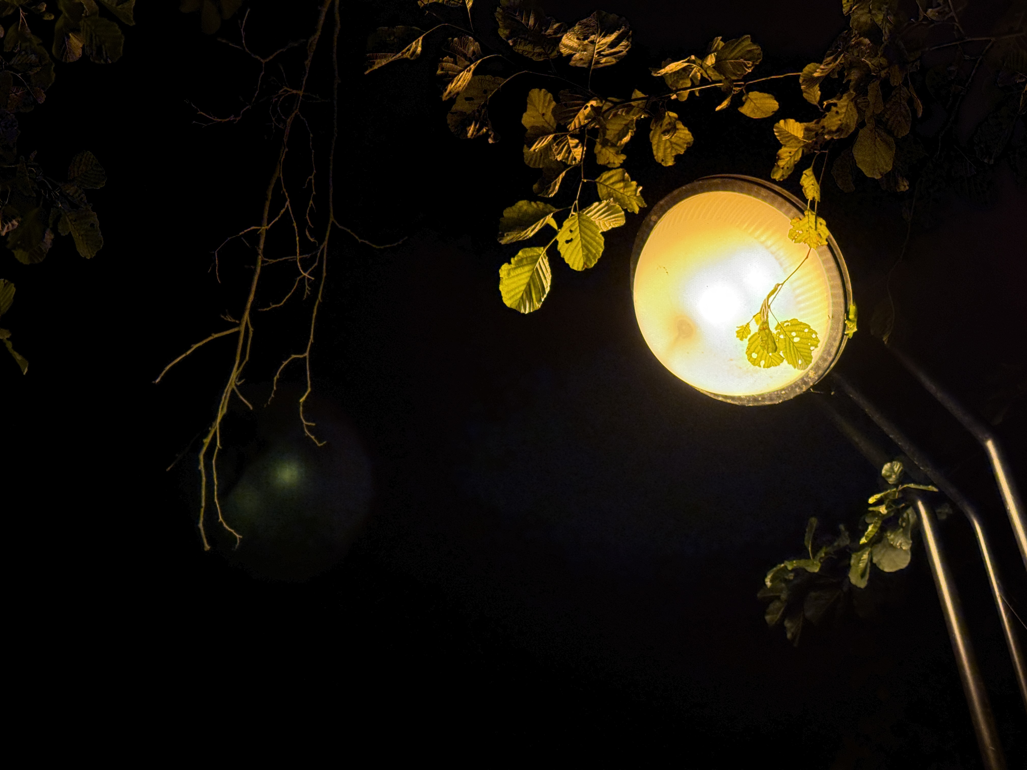 closeup streetlamp night