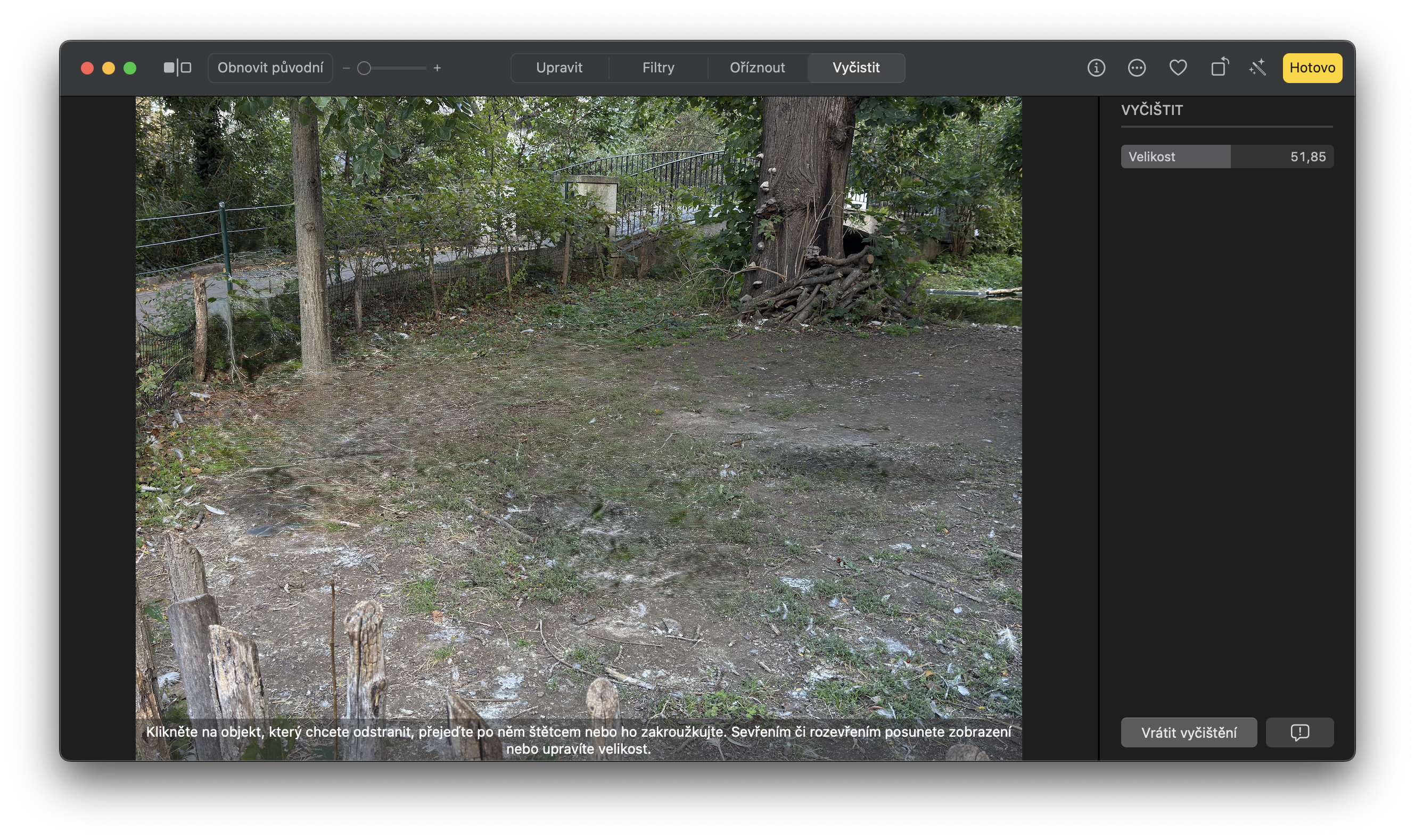 empty enclosure with trees