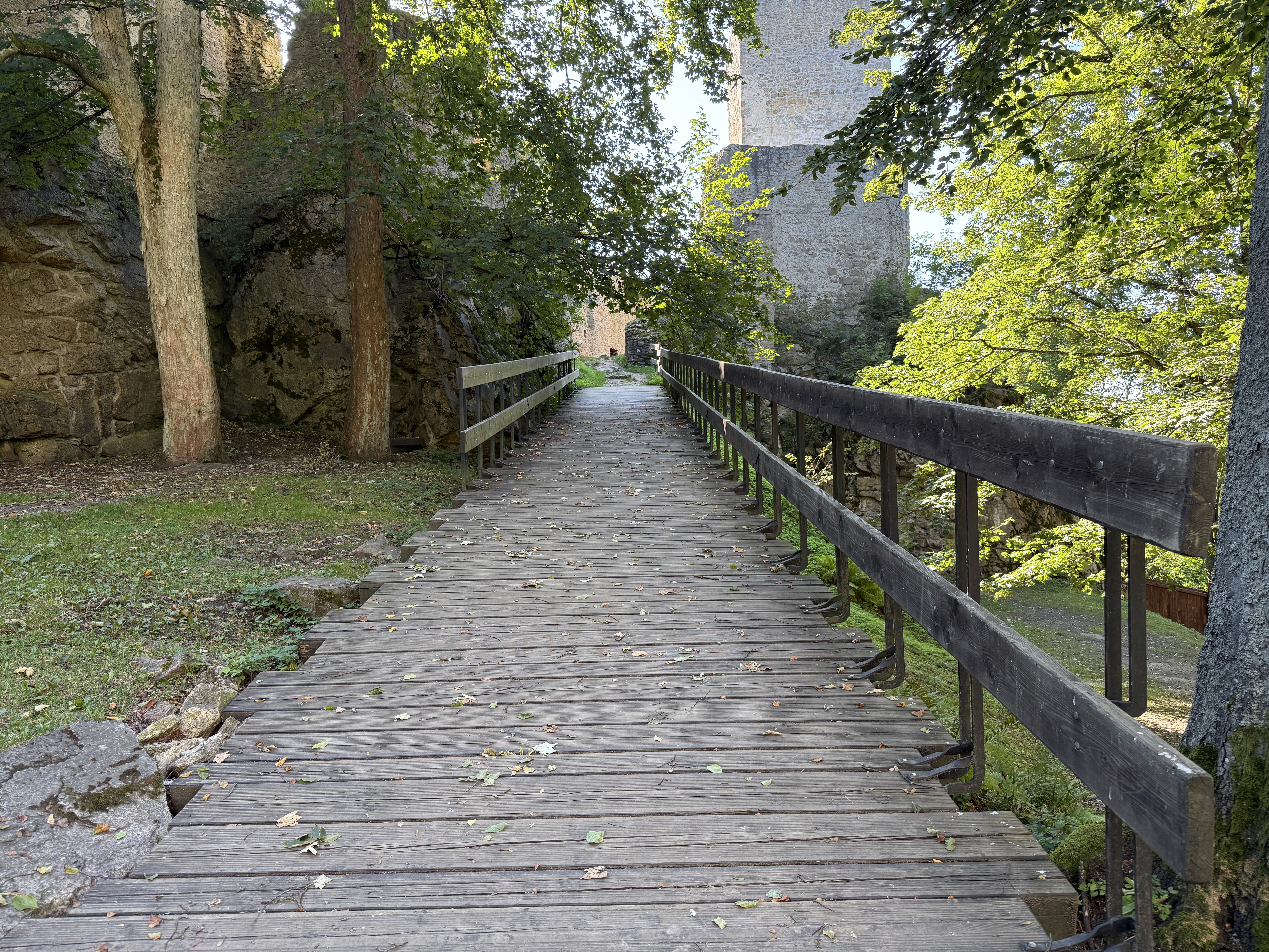forest pathway castle view