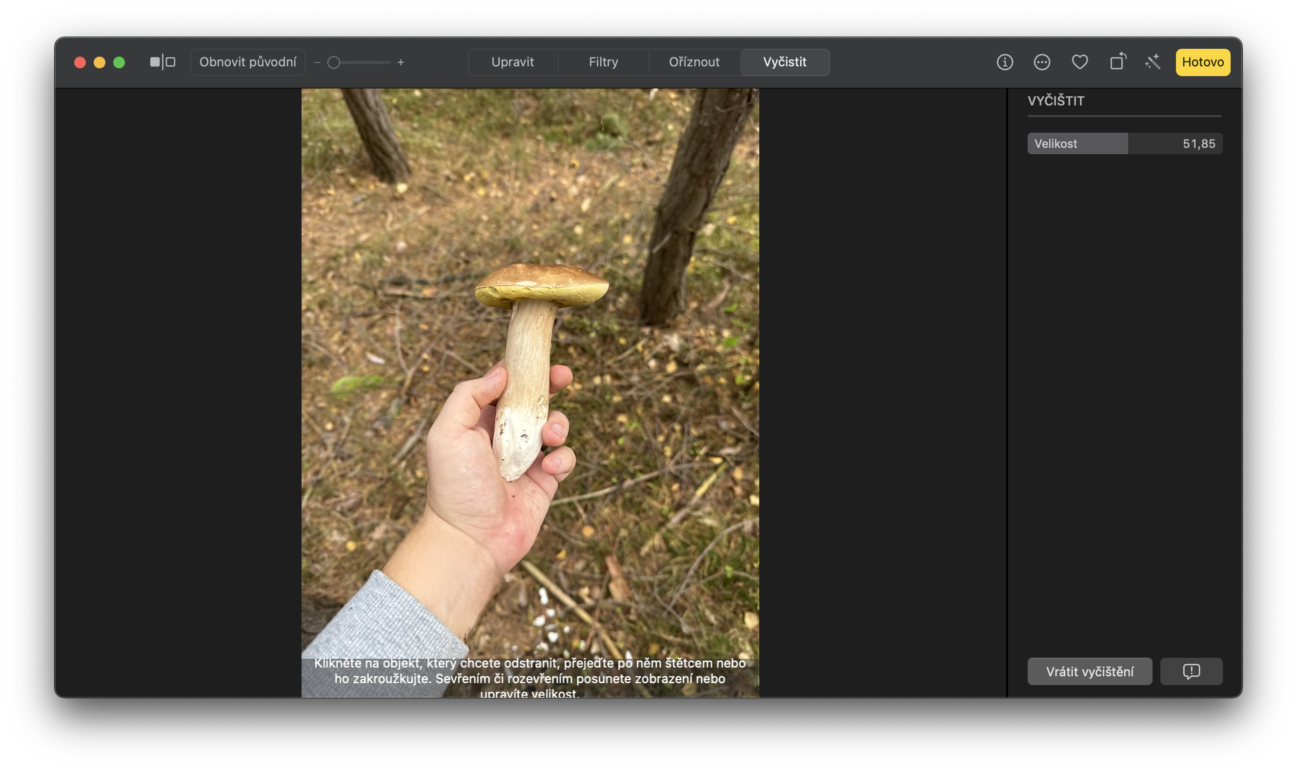 hand holding brown mushroom in forest