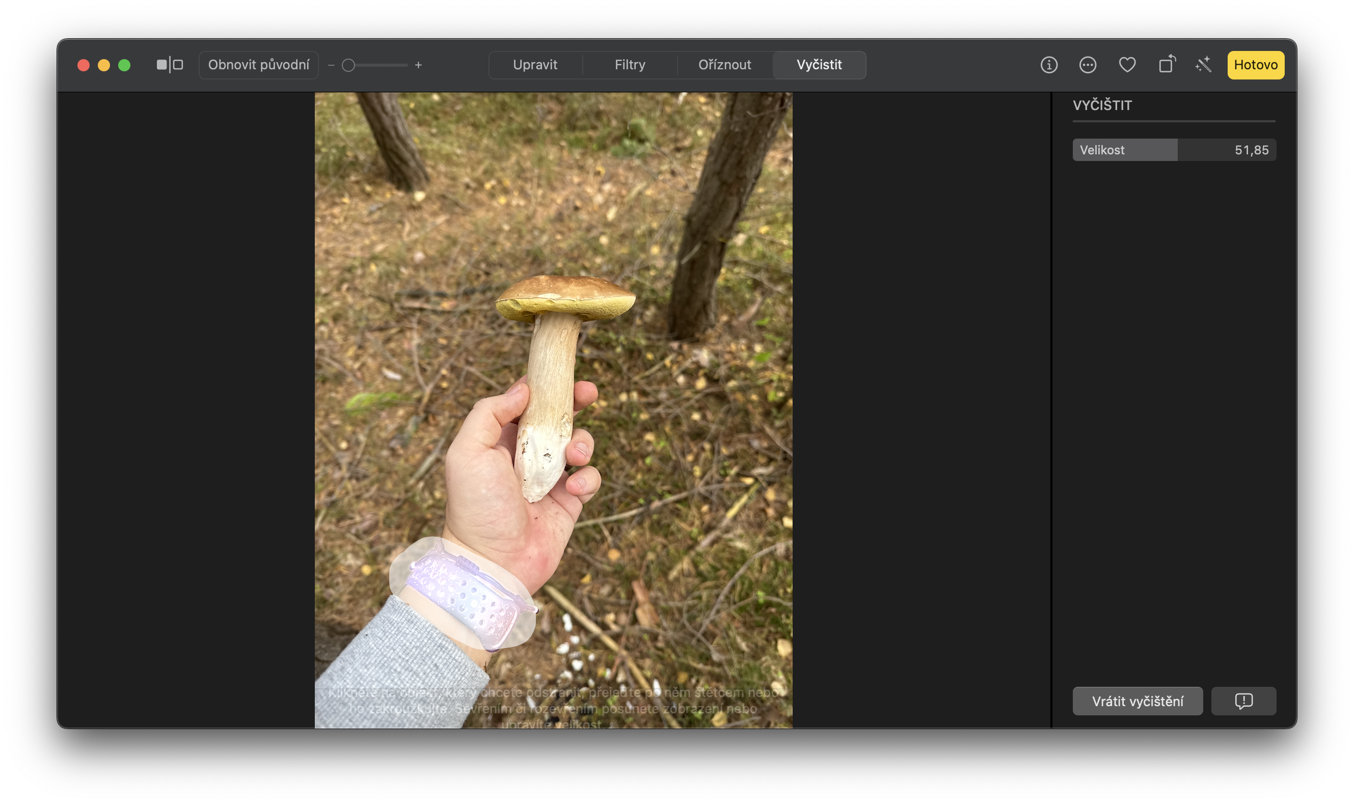 hand holding brown mushroom with bracelet