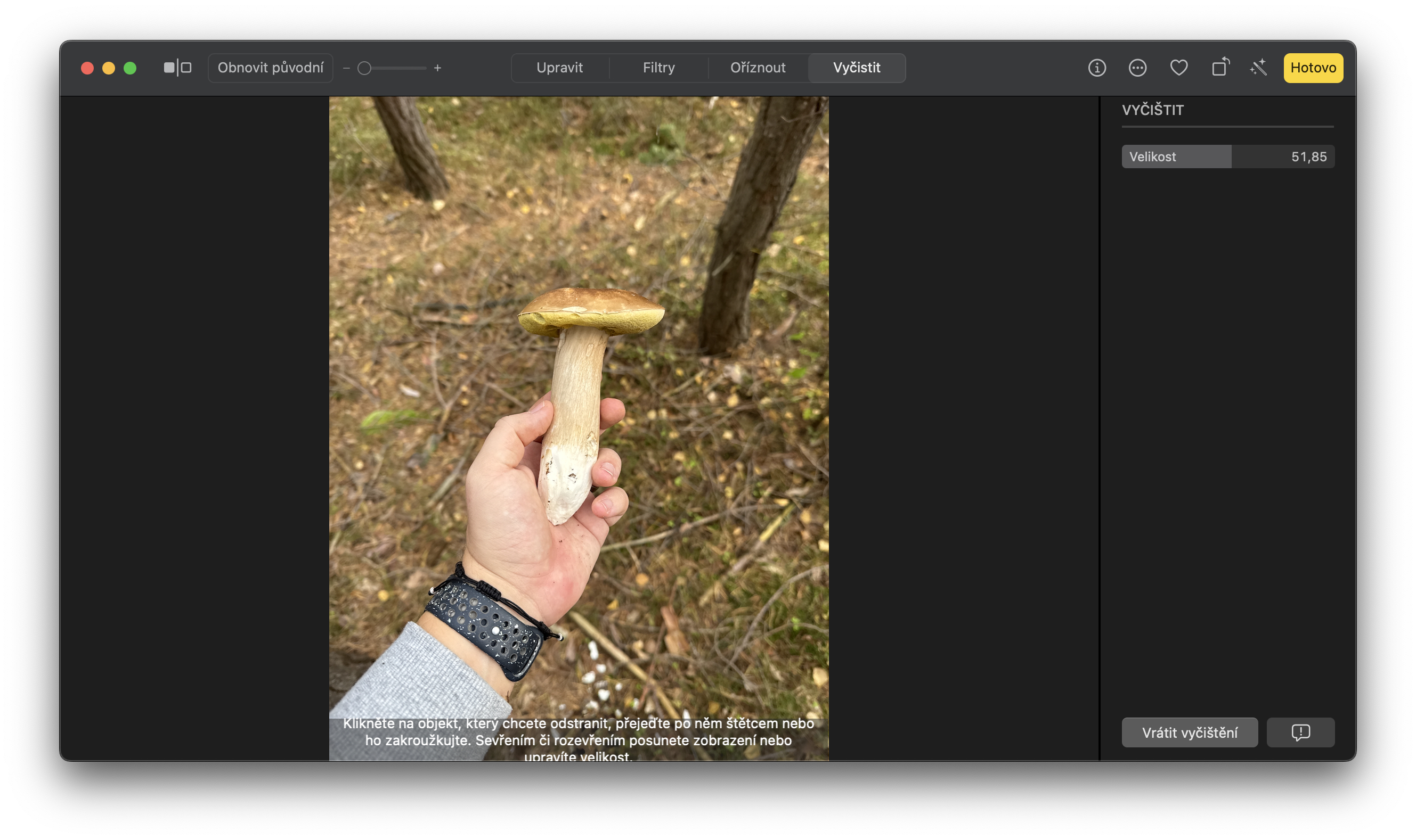 hand holding brown mushroom with watch