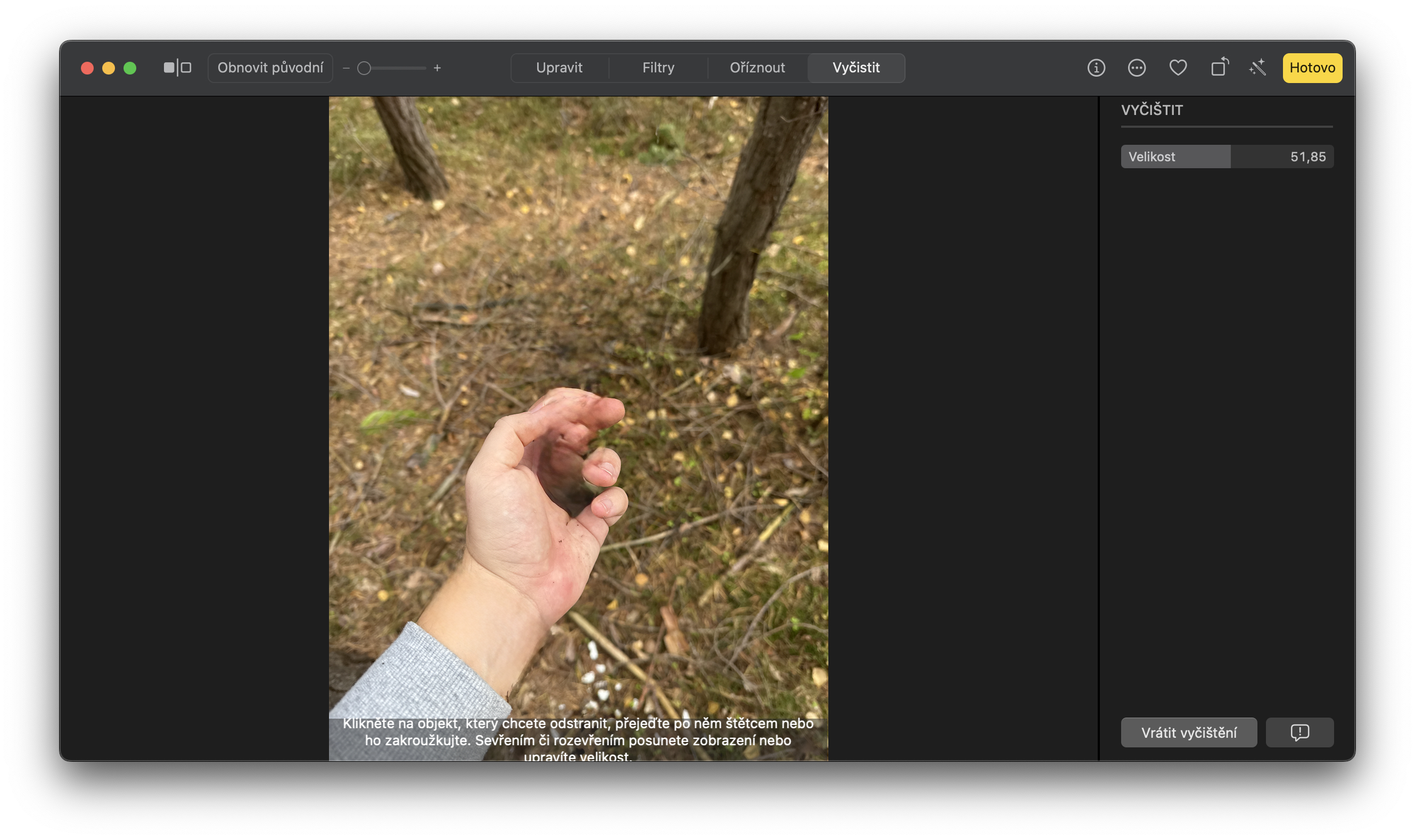 hand holding small object in forest