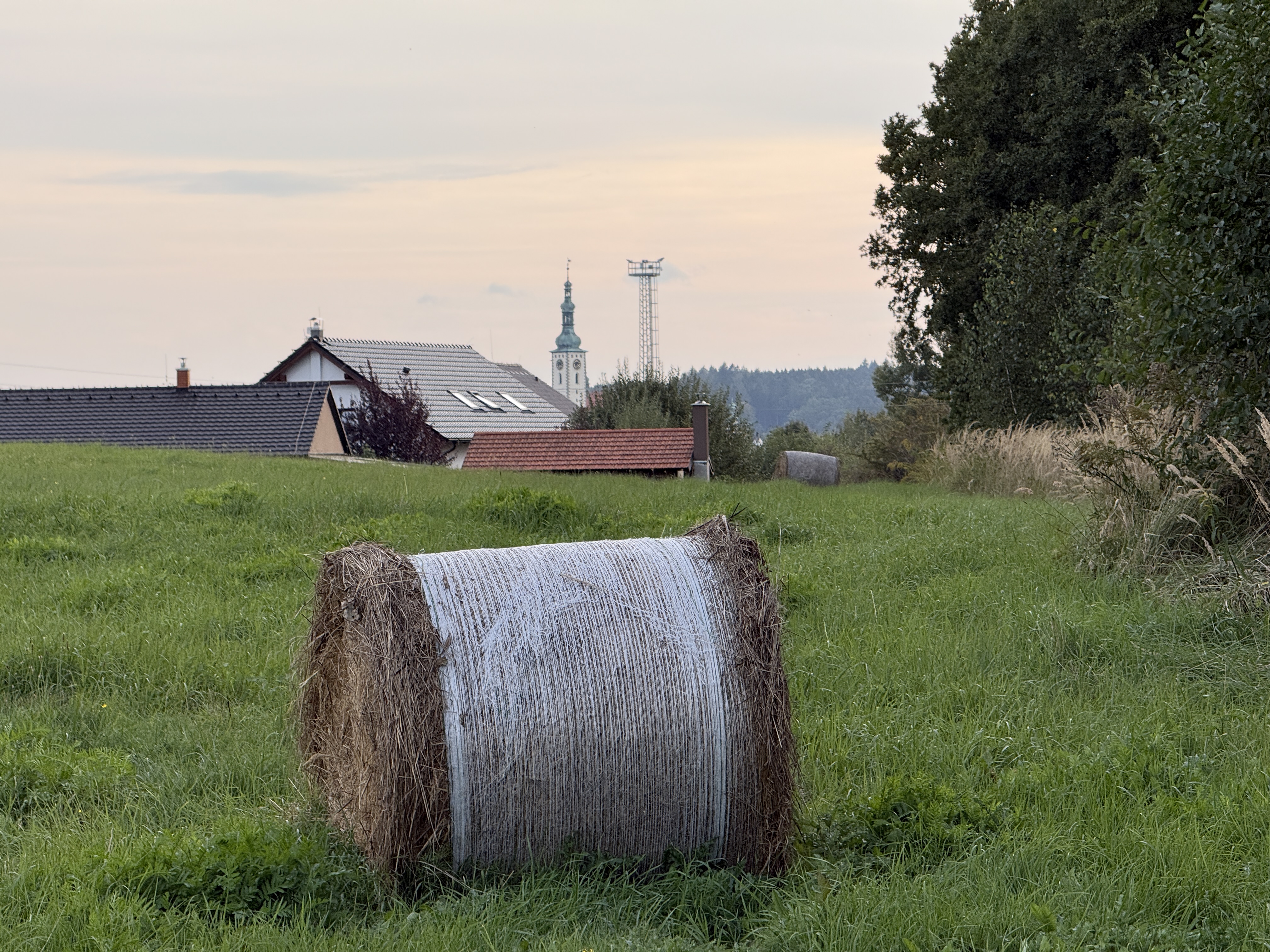 hay bale in field