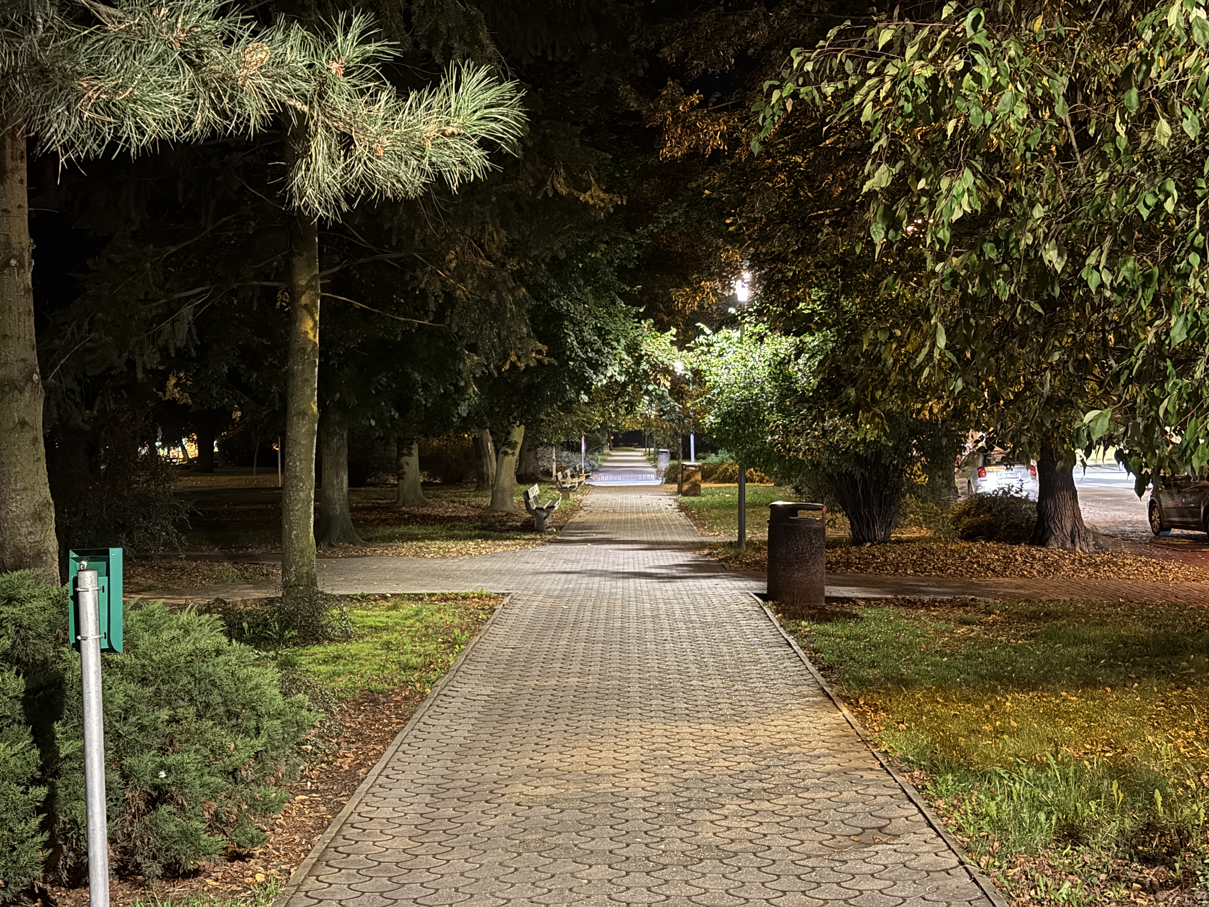 illuminated park pathway