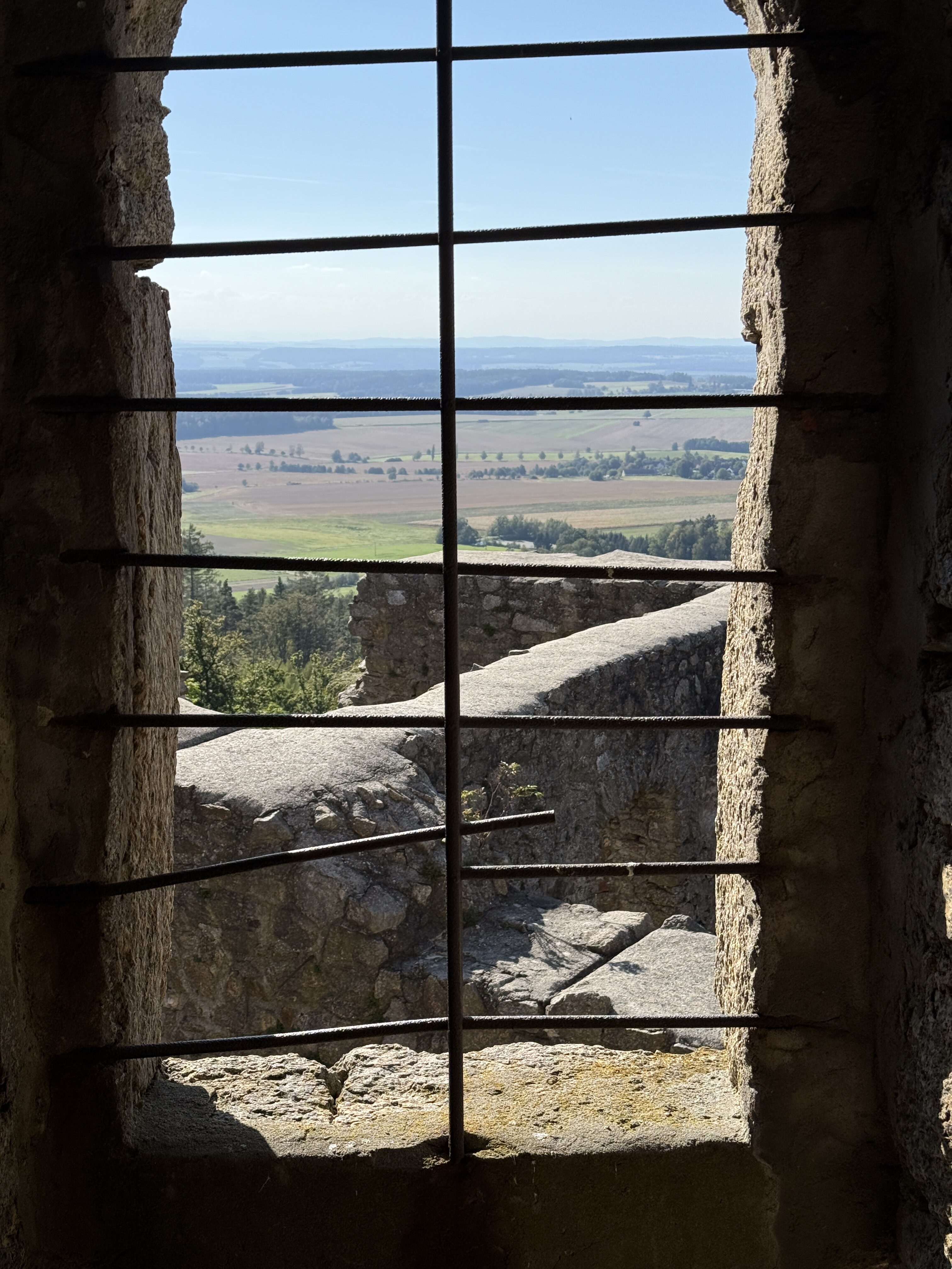 landscape through barred window