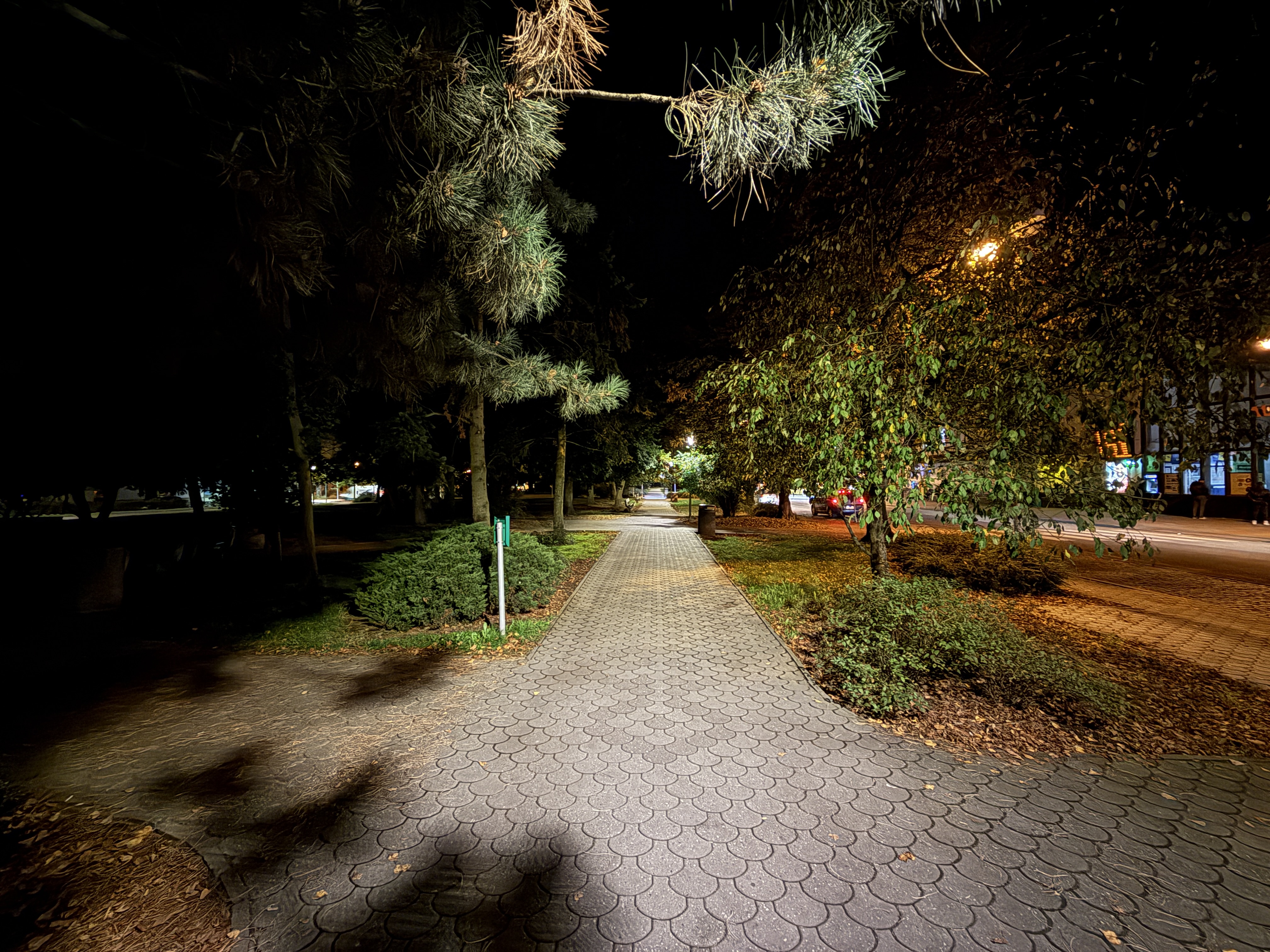 park pathway at night