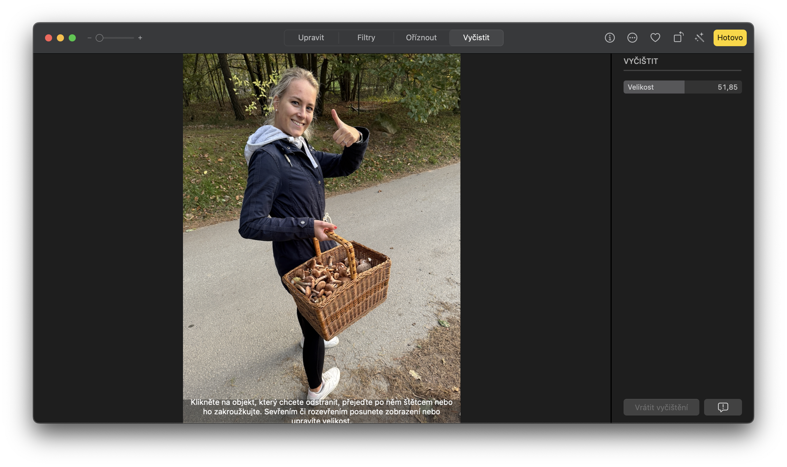 person holding basket