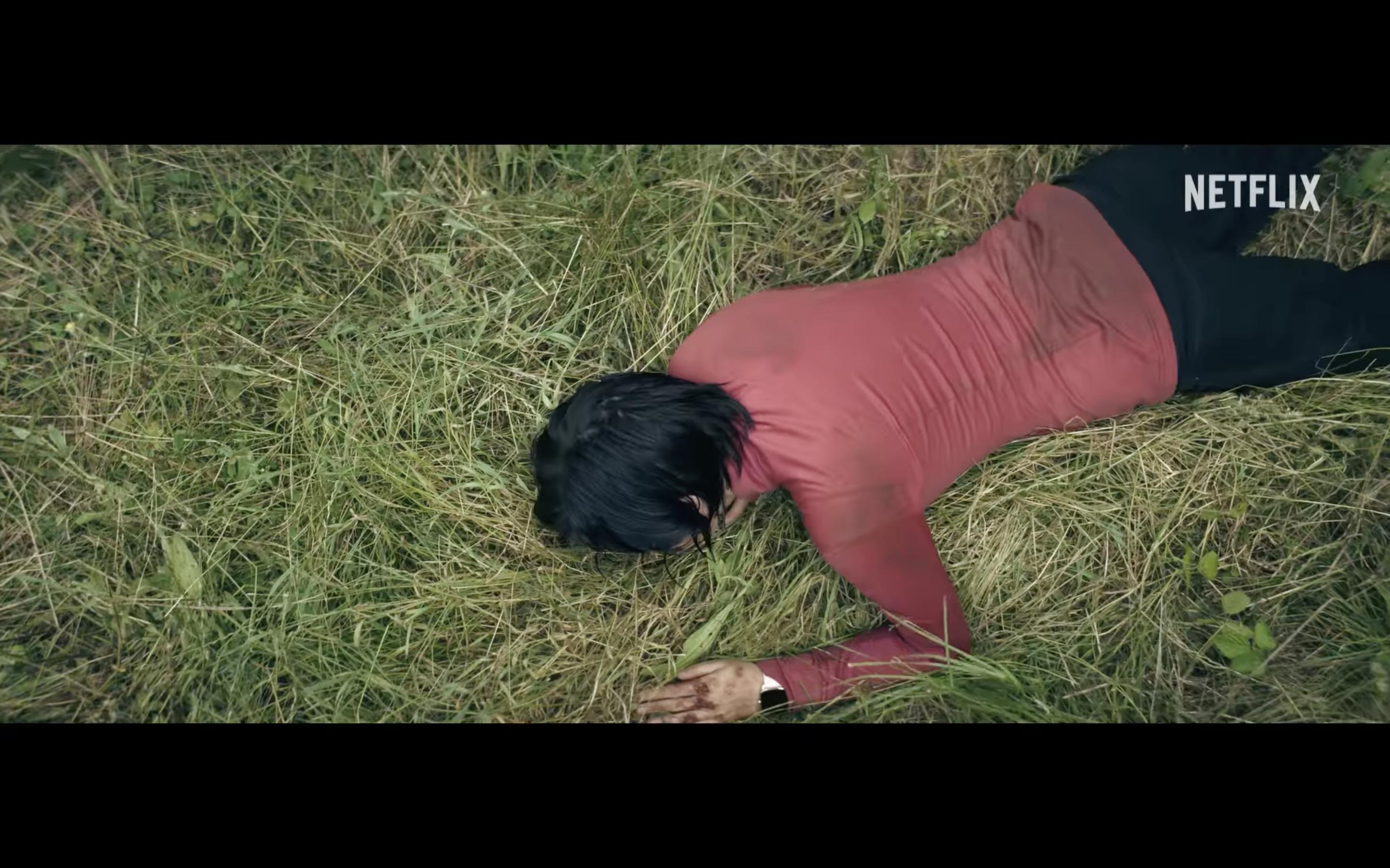 person lying on grass