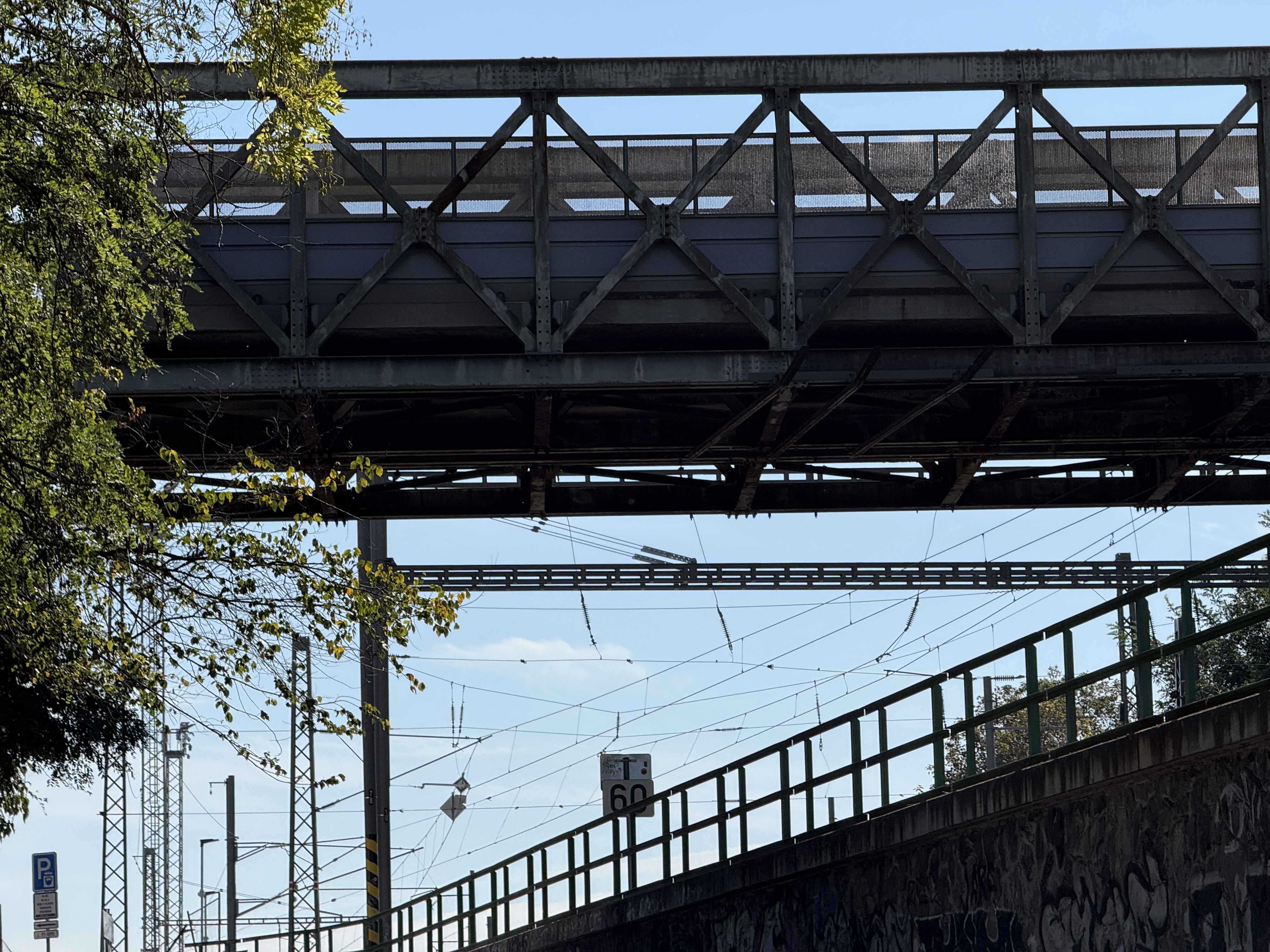 railway bridge with trees