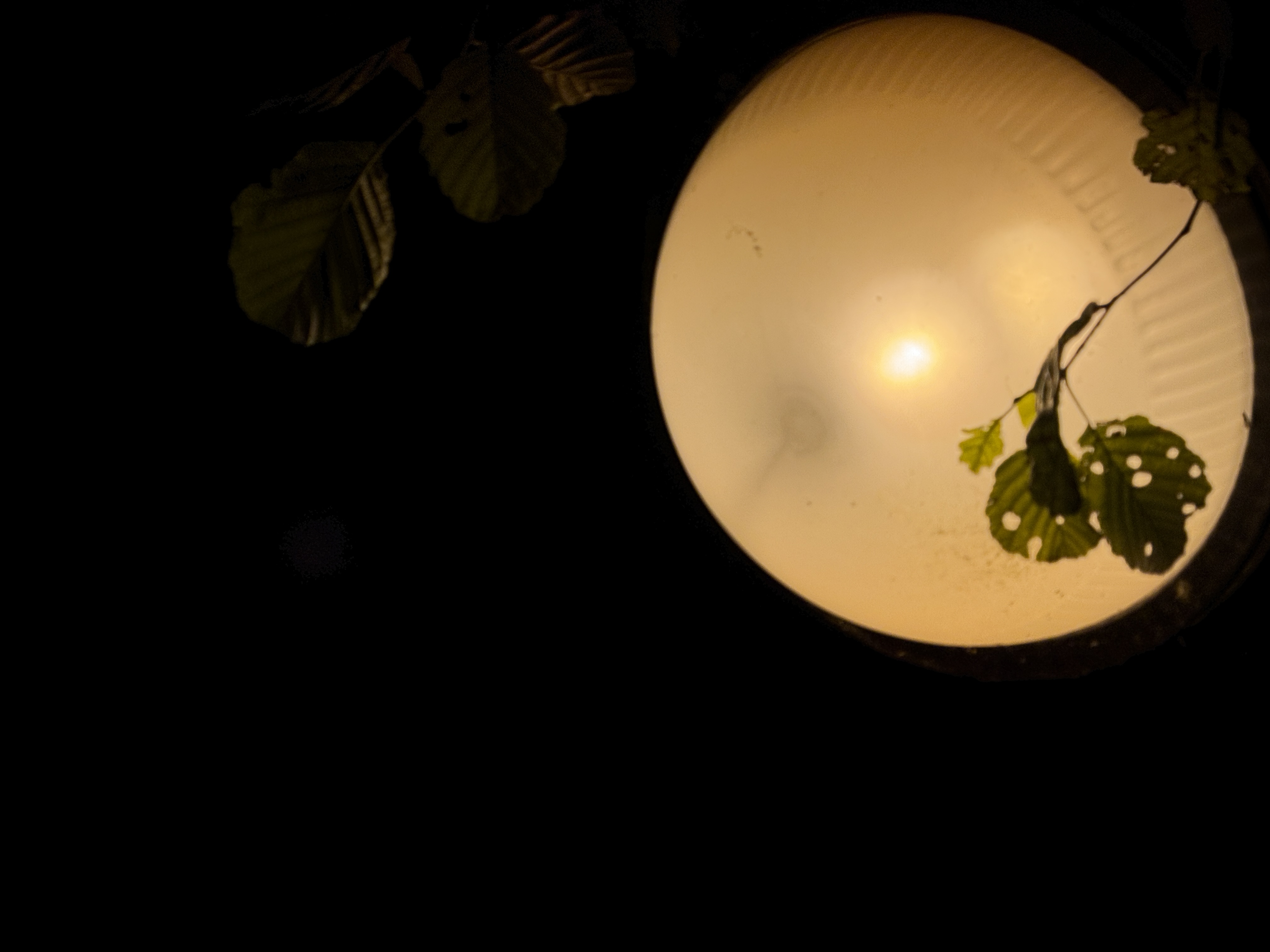 streetlamp glow night